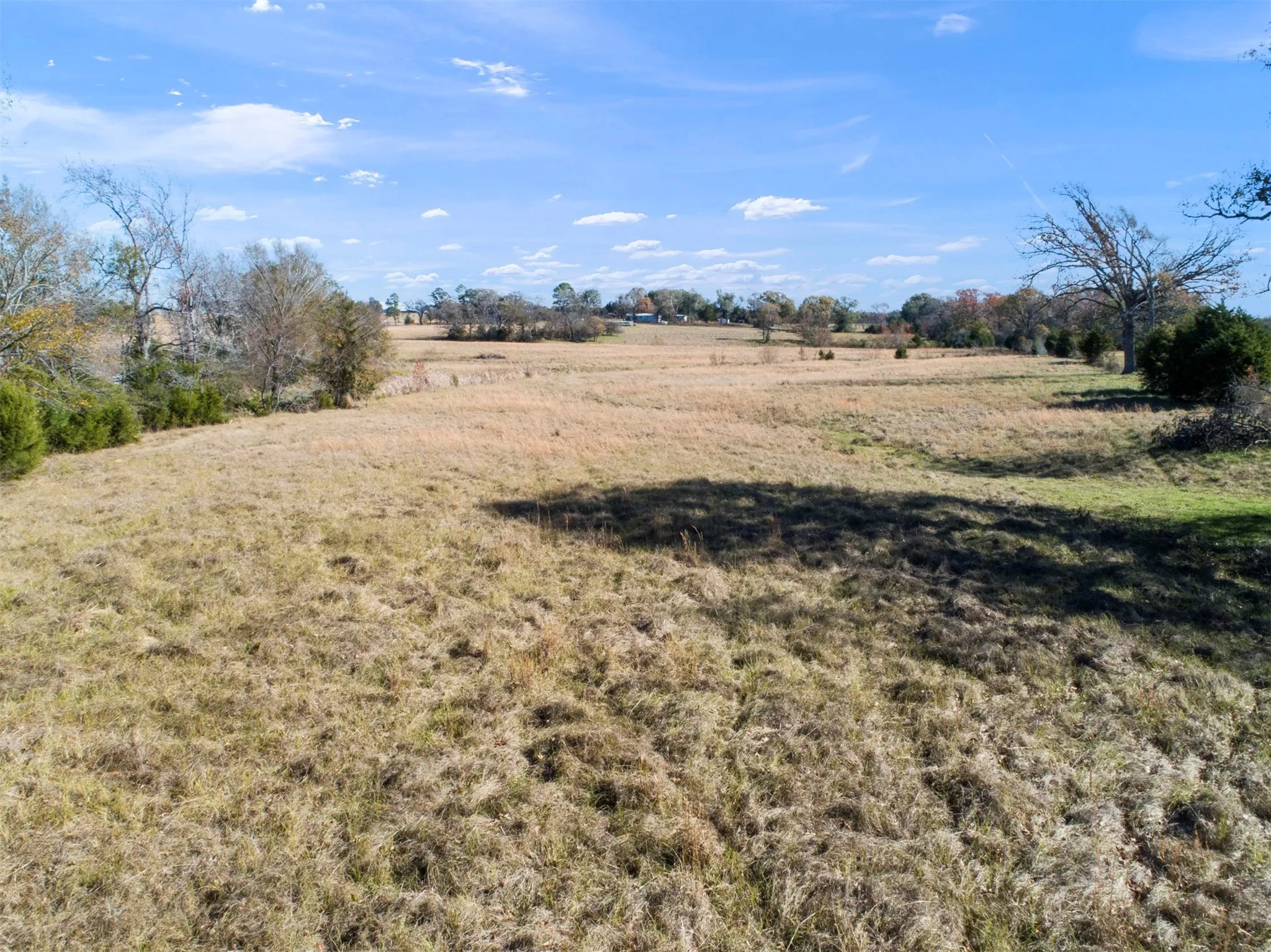 Unimproved Land For Sale in Van Zandt County , TBD FM 17 N, Grand Saline, Texas 75140, 0, 0, Garage spaces, 0 Sqft, built in 0, Price $372,300, mls#21309106, Real Estate Agent in Grand Saline, Homes For Sale in Van Zandt county, Homes For Sale in Grand Saline, Realtor in Grand Saline Texas, Real Estate Brokerage Independent Realty Texas, Luminita Cordes Realtor