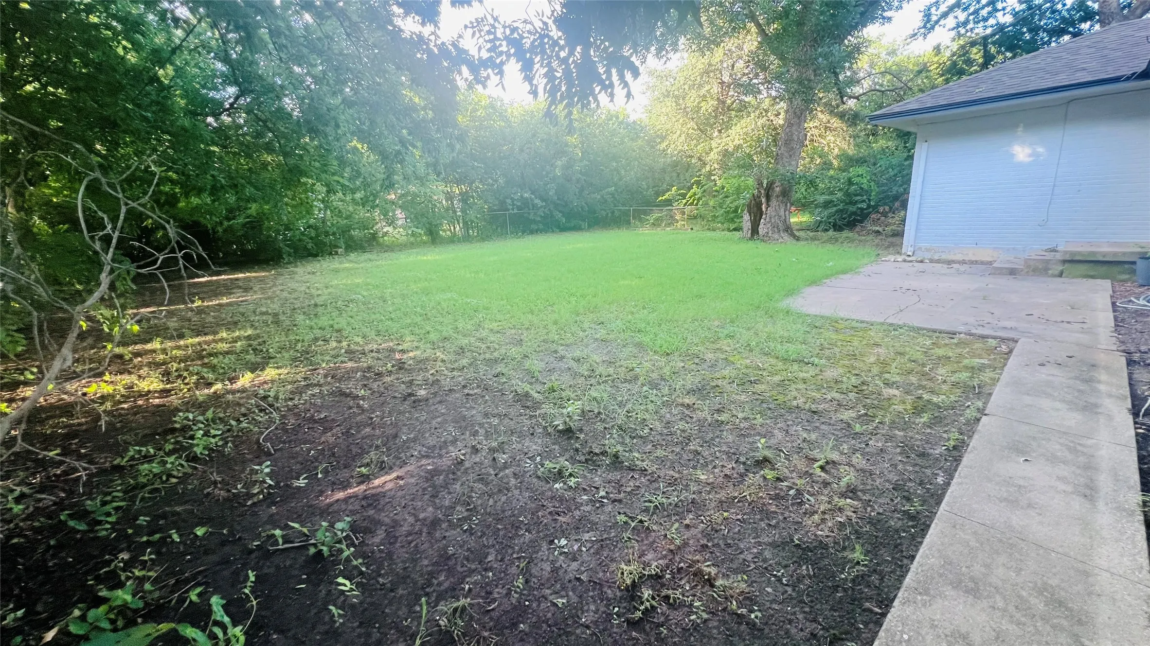 Expansive backyard featuring a partial lawn, mature perimeter trees, and a concrete patio