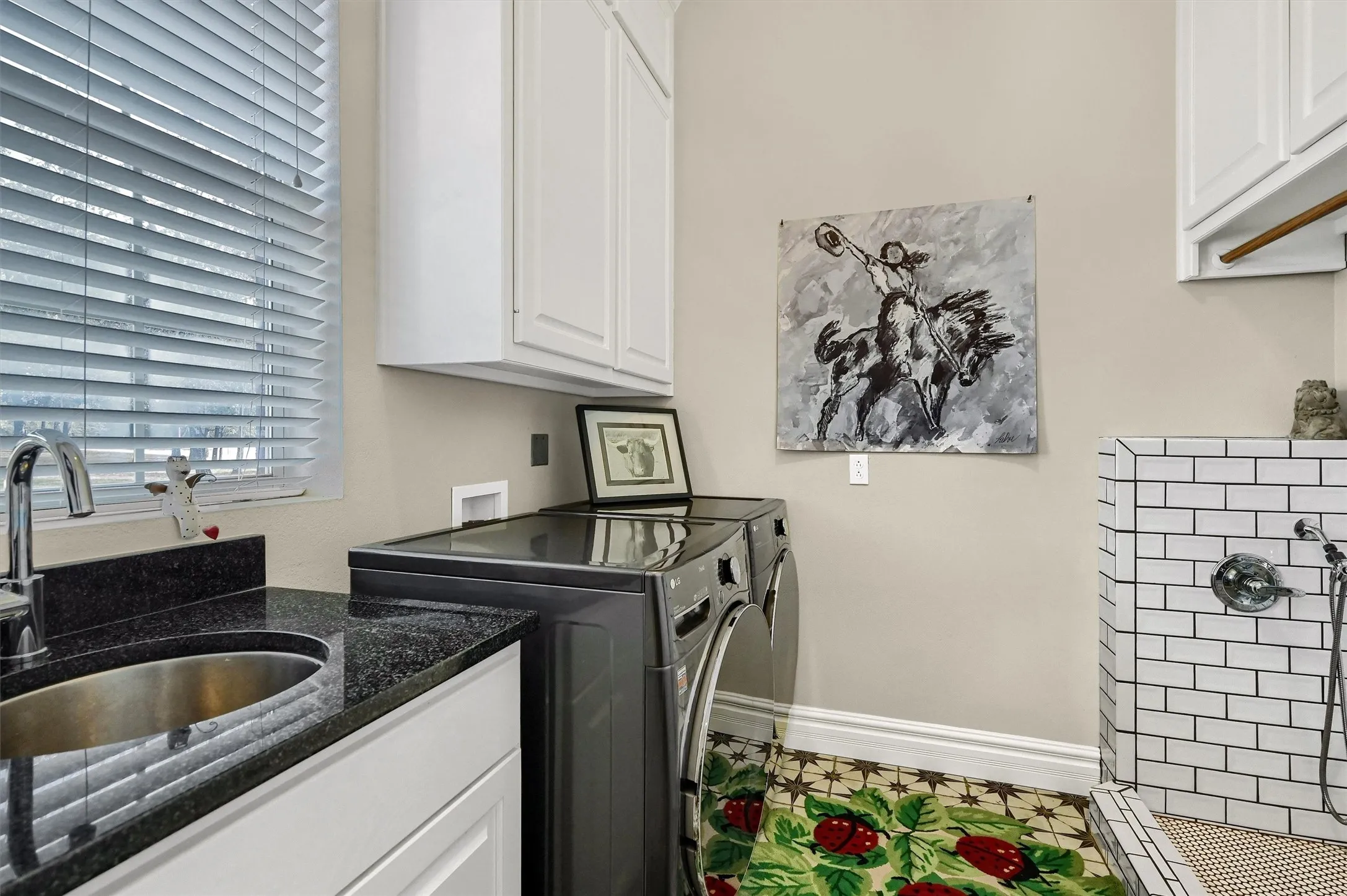 A large laundry room, complete with a dog shower.