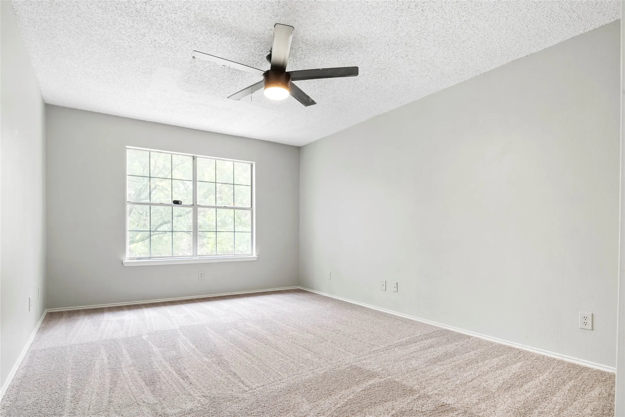 Bright room featuring a large window with multiple panes, light-toned walls, and neutral carpeting
