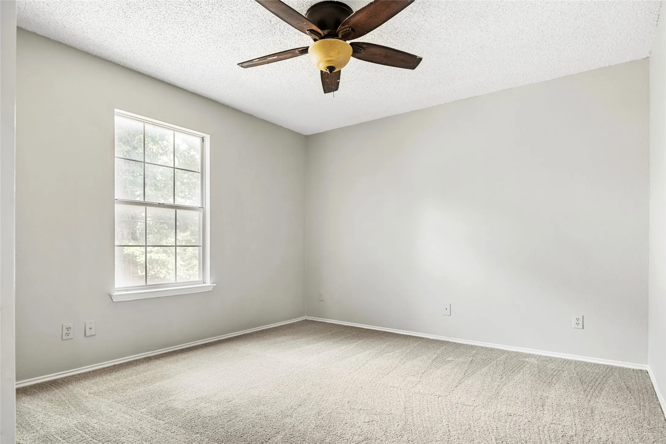 Room featuring light gray walls, gray carpet flooring, and a white-framed window with grid panes