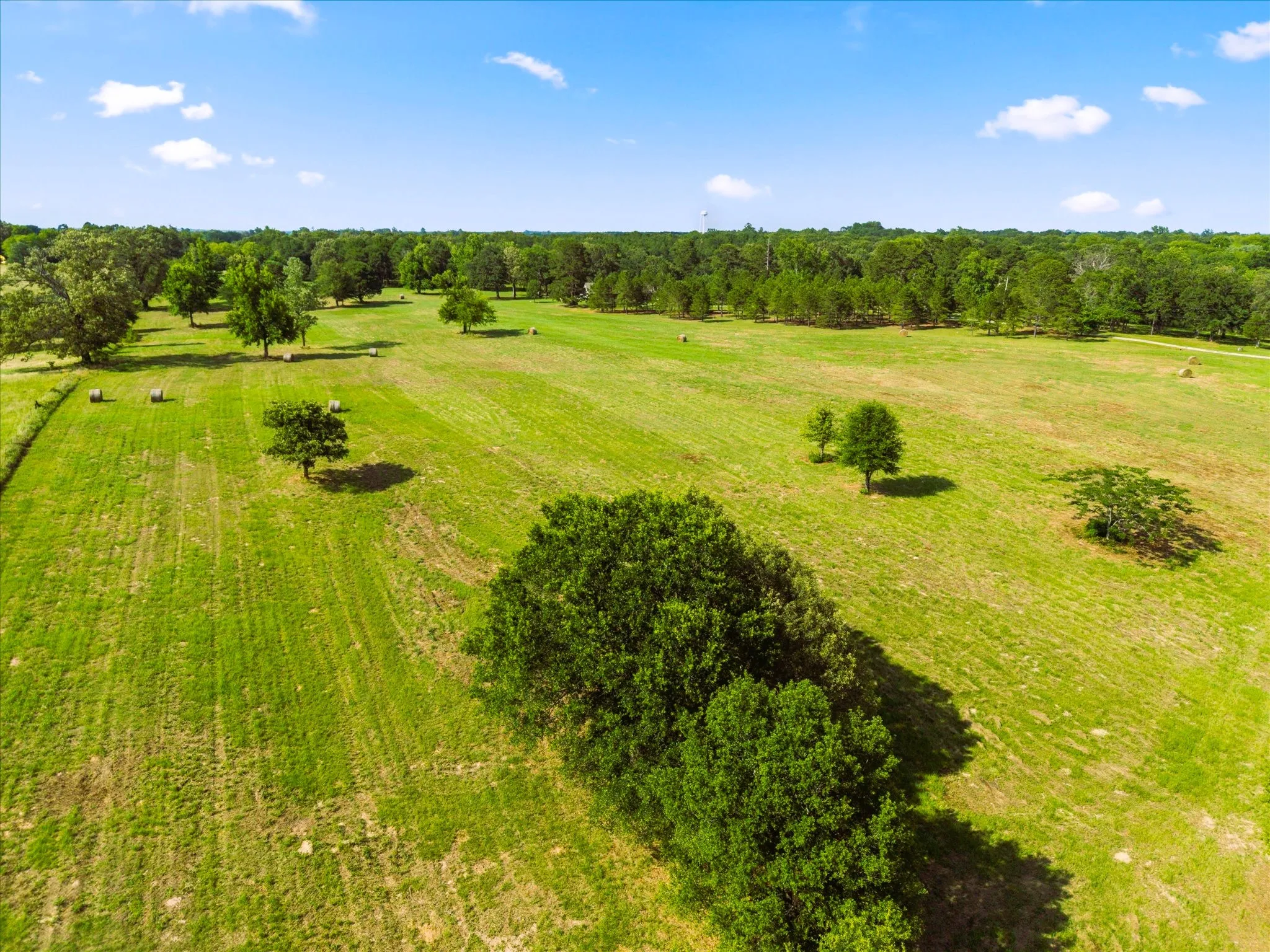 Harvest Hay with All of this Cleared Land!
