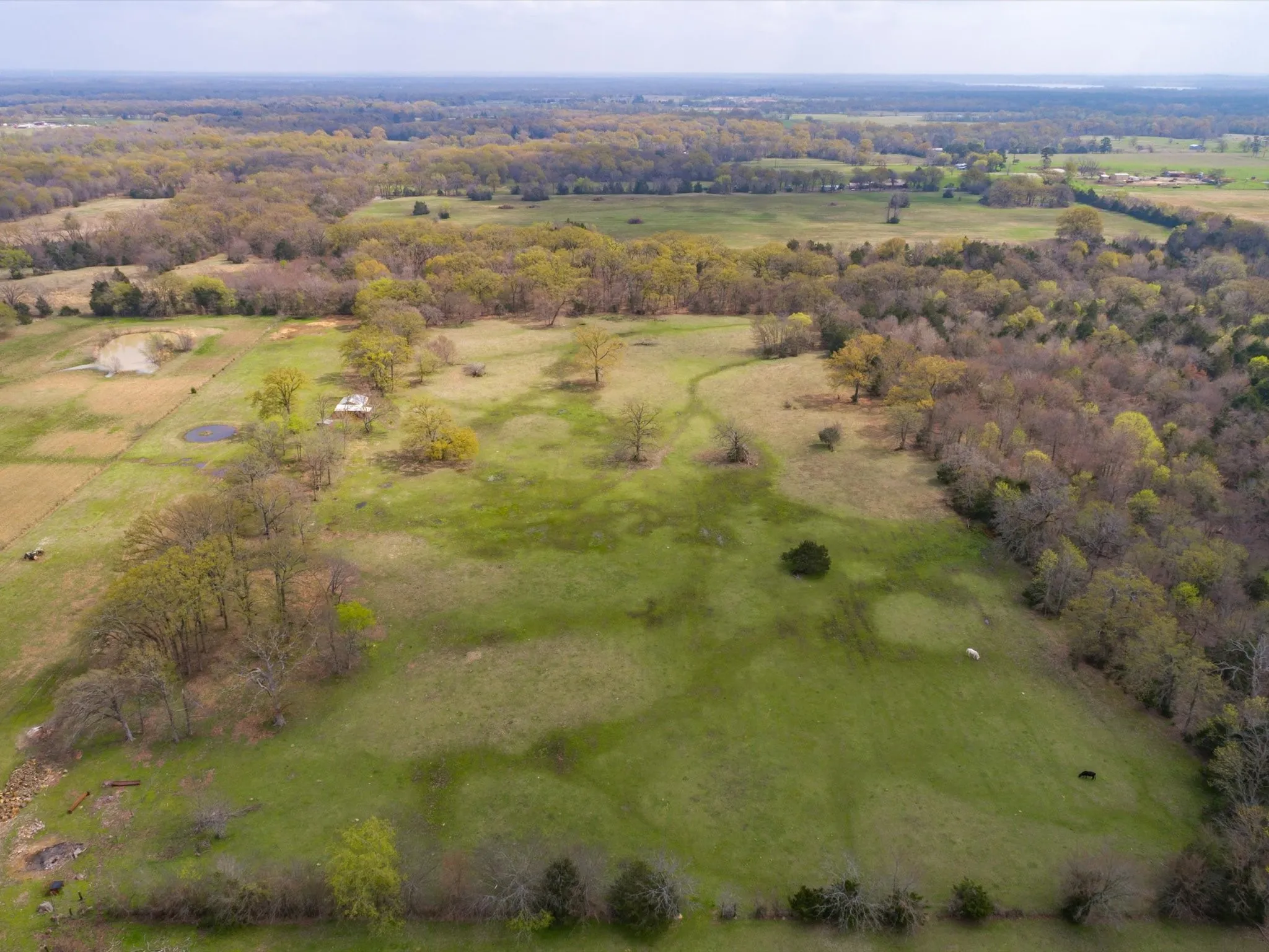Unimproved Land For Sale in Wood County , 1940 County Road 1800, Yantis, Texas 75497, 0, 0, Garage spaces, 0 Sqft, built in 1983, mls#21310282, Real Estate Agent in Yantis, Homes For Sale in Wood county, Homes For Sale in Yantis, Realtor in Yantis Texas, Real Estate Brokerage Independent Realty Texas, Luminita Cordes Realtor