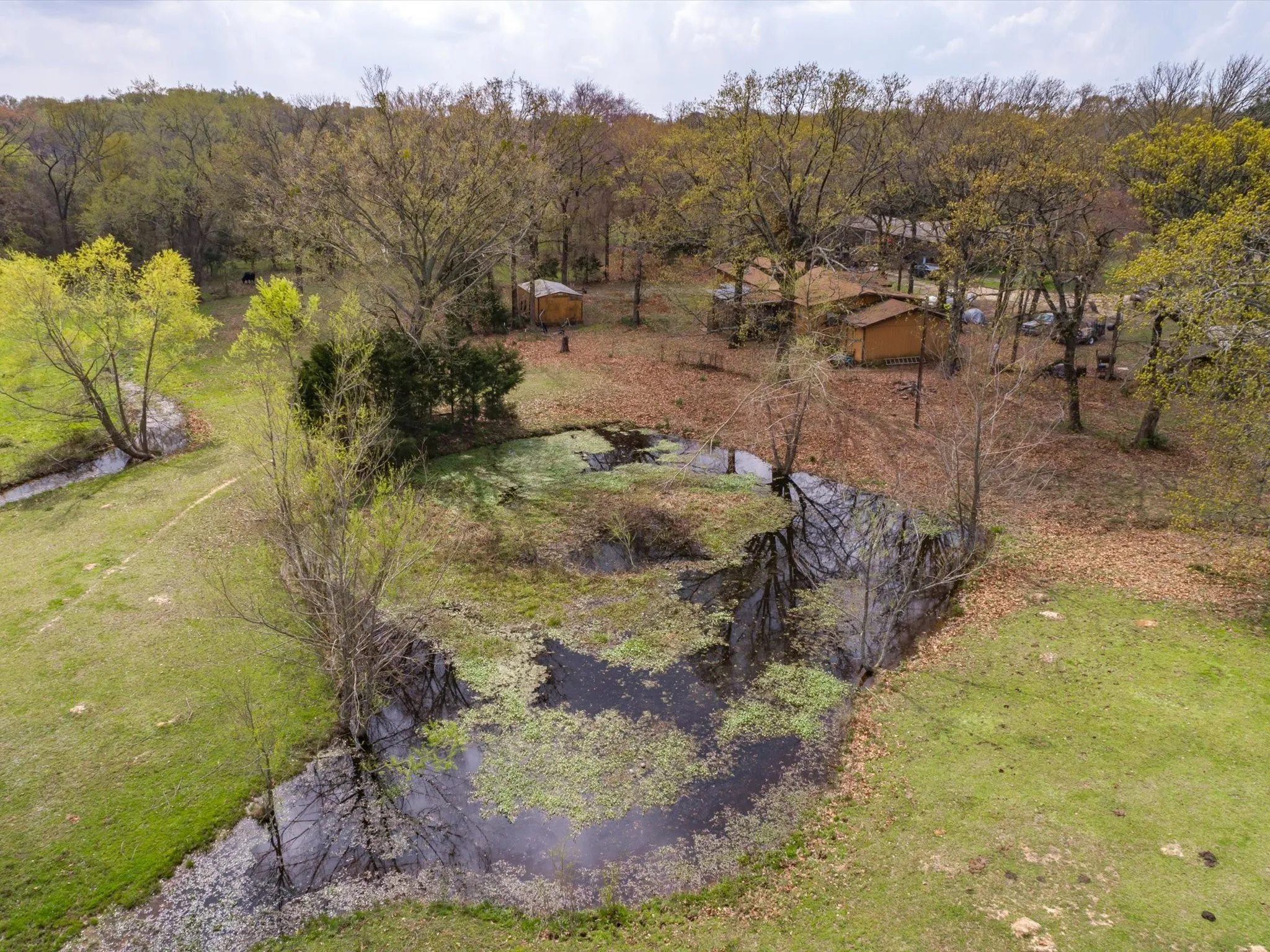 Unimproved Land For Sale in Wood County , 1940 County Road 1800, Yantis, Texas 75497, 0, 0, Garage spaces, 0 Sqft, built in 1983, mls#21310282, Real Estate Agent in Yantis, Homes For Sale in Wood county, Homes For Sale in Yantis, Realtor in Yantis Texas, Real Estate Brokerage Independent Realty Texas, Luminita Cordes Realtor