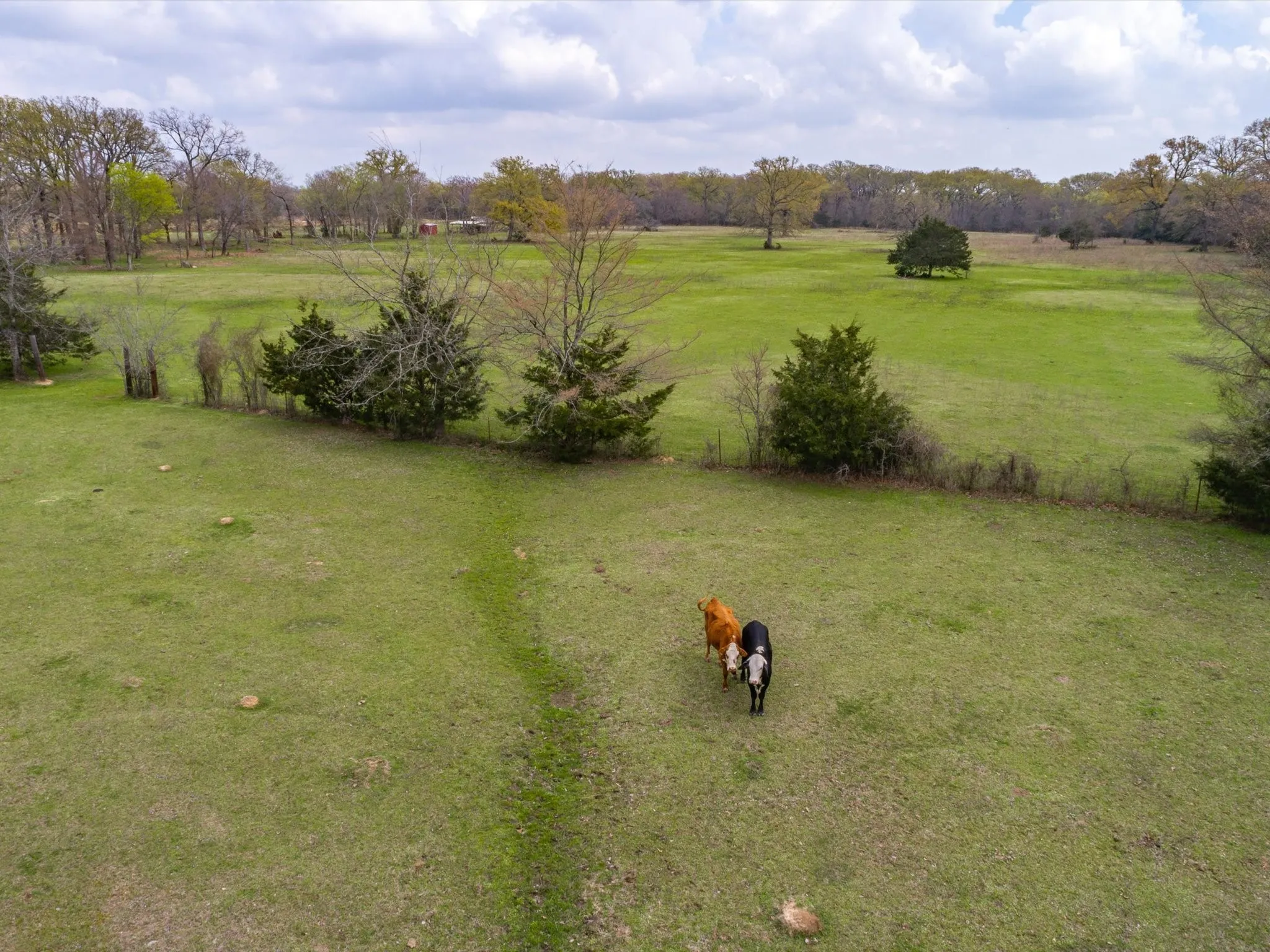 View of yard featuring a rural view