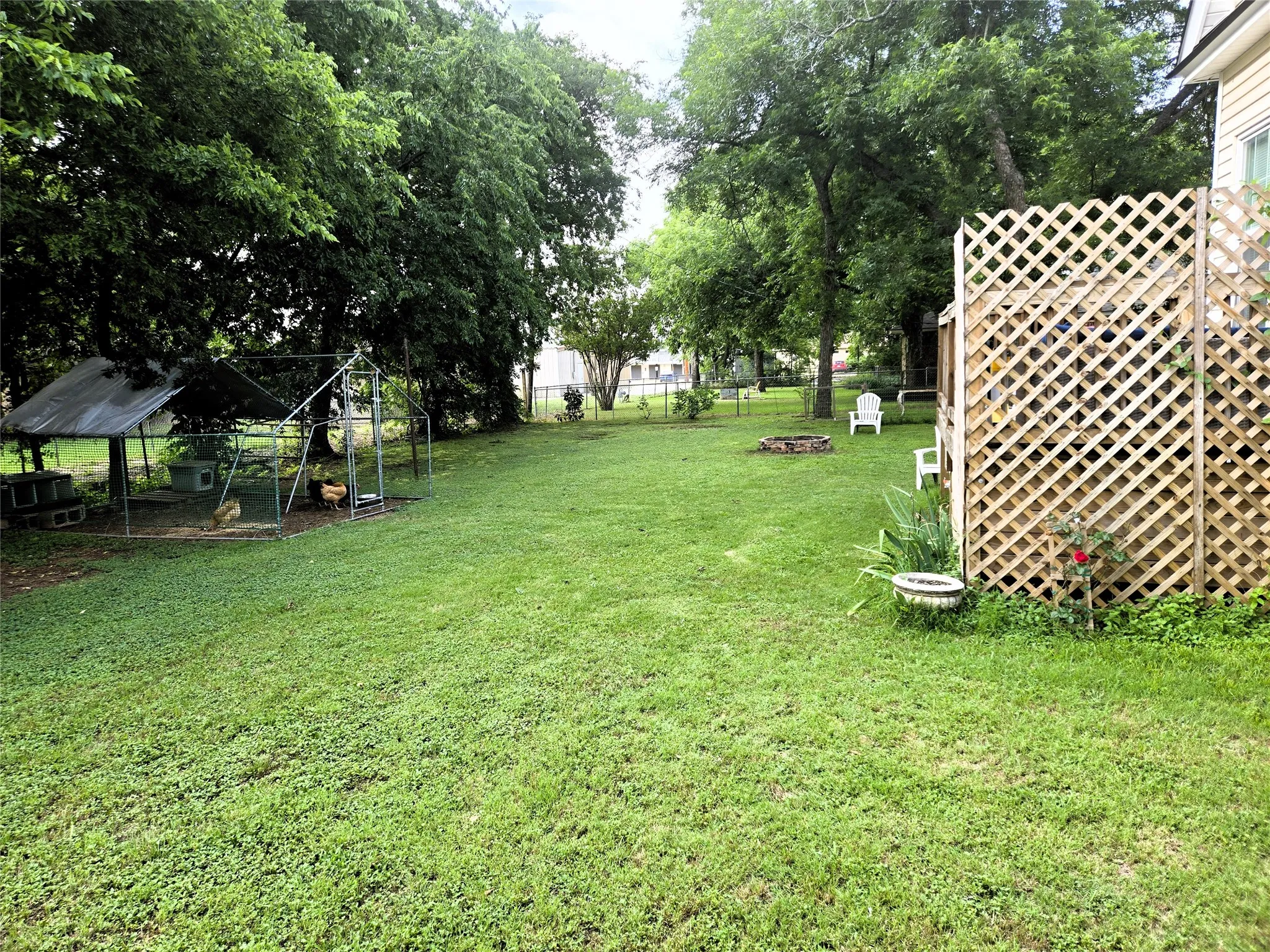 Back yard.