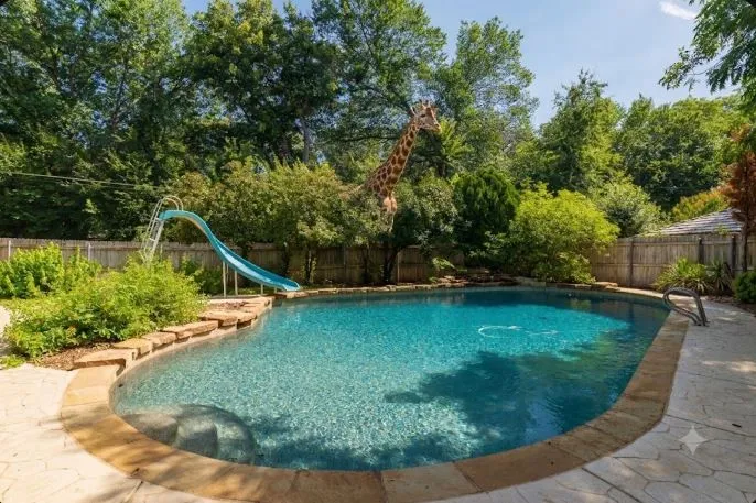 Resort-style backyard featuring a freeform swimming pool, integrated slide, stone coping, and surrounding flagstone patio, Backs up to the NRH Nature Walking and Biking trails - Geoffrey the Giraffe has made his way back home and is not included in the sale