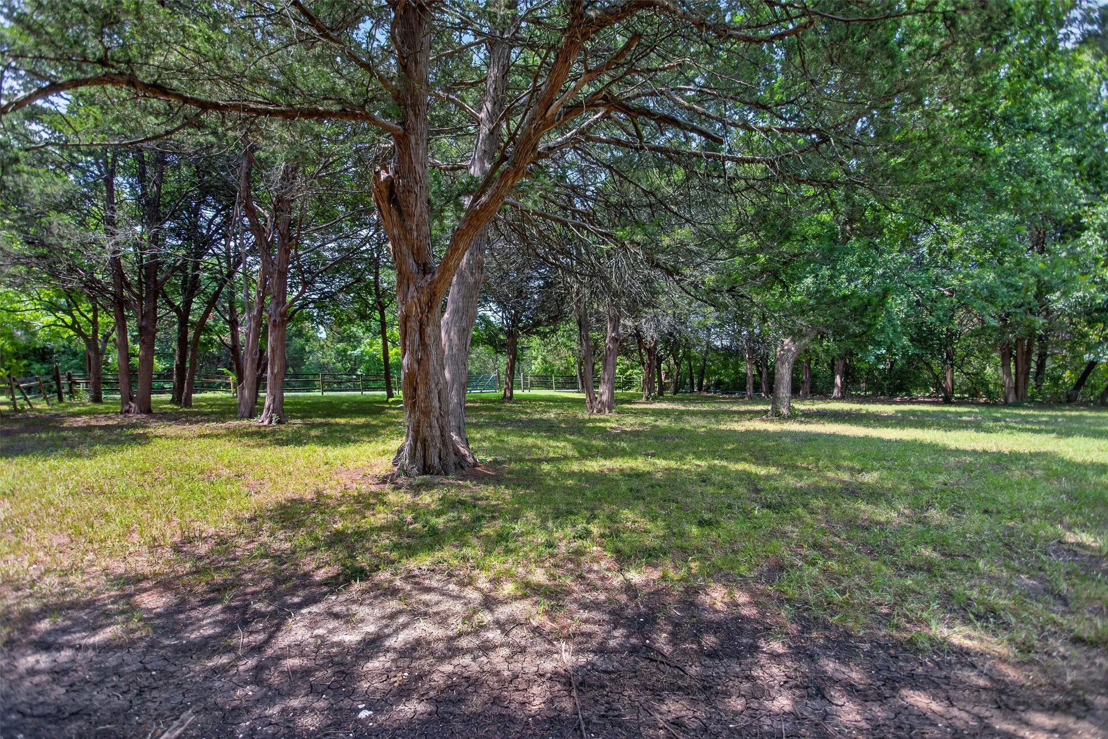 Single Family Residence For Sale in Ellis County , 1007 Johnson Lane, Ovilla, Texas 76065, 4 Bedroom, 2 Bathroom, 2 Garage spaces, 2,062 Sqft, built in 1972, mls#21307798, Real Estate Agent in Ovilla, Homes For Sale in Ellis county, Homes For Sale in Ovilla, Realtor in Ovilla Texas, Real Estate Brokerage Independent Realty Texas, Luminita Cordes Realtor