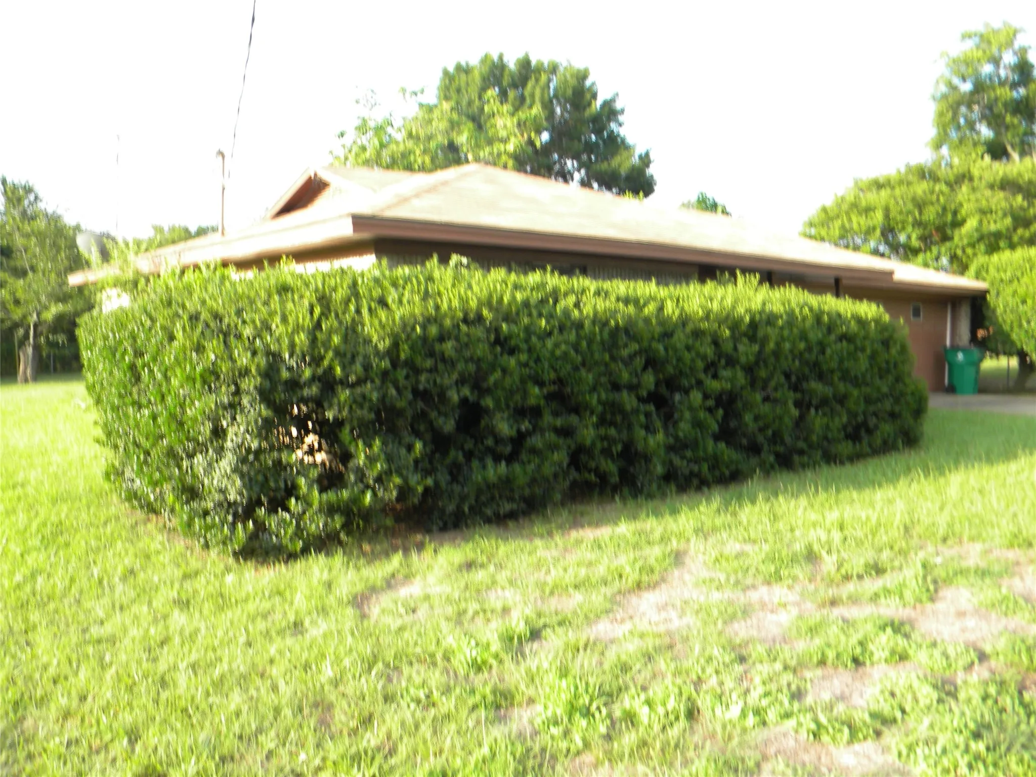 Privacy Hedge East & North Side