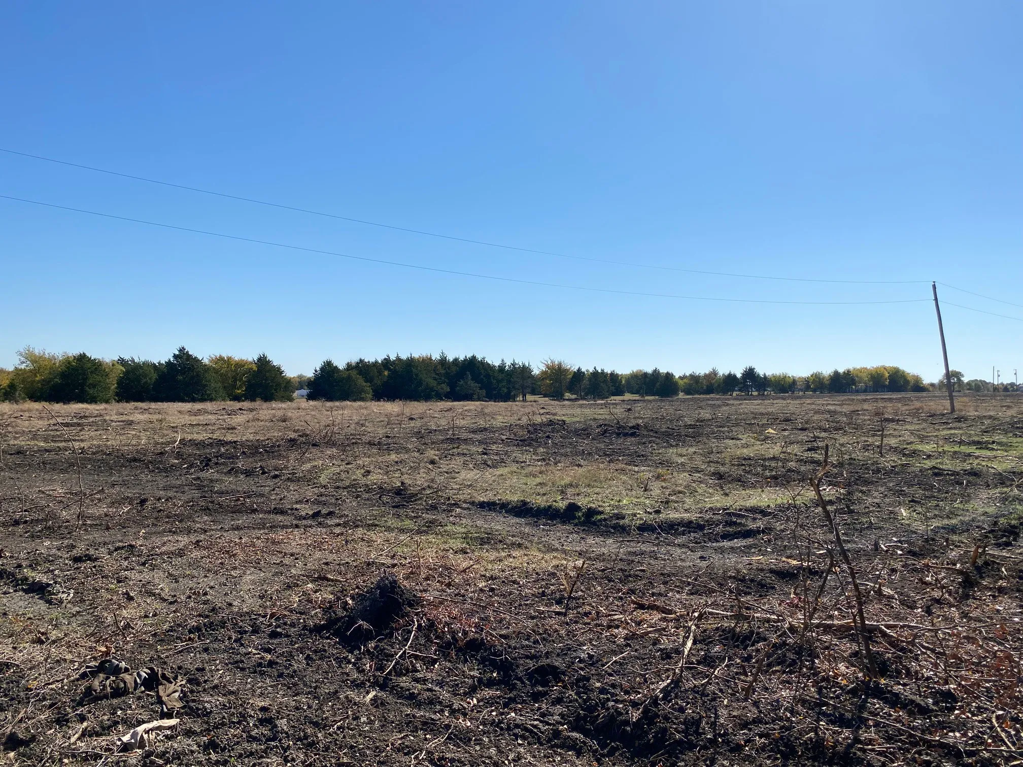 Expansive cleared lot bordered by mature trees and a wire fence