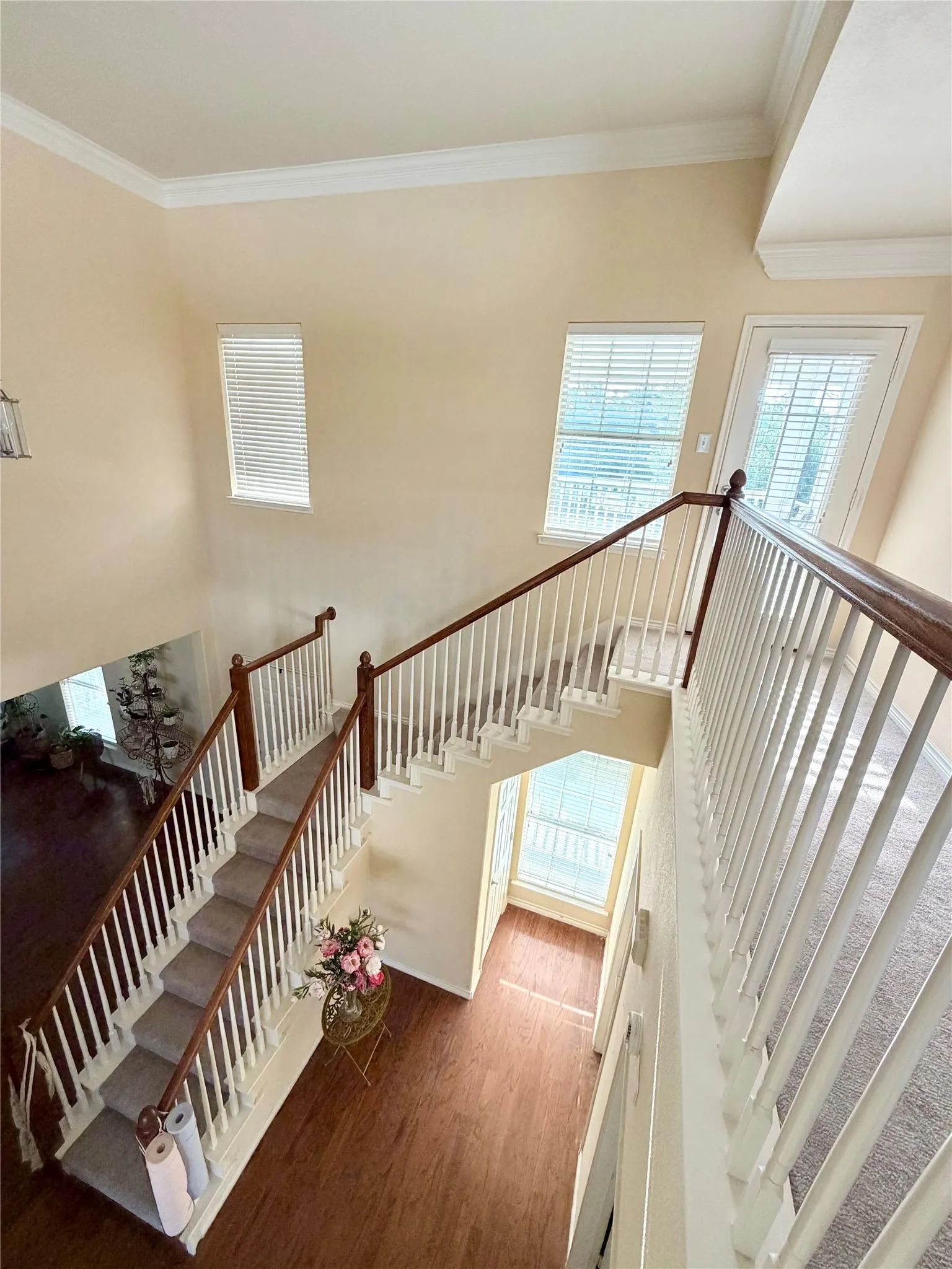Two-story foyer with wood-finish flooring and a carpeted staircase featuring a white spindle railing and dark wood handrail
