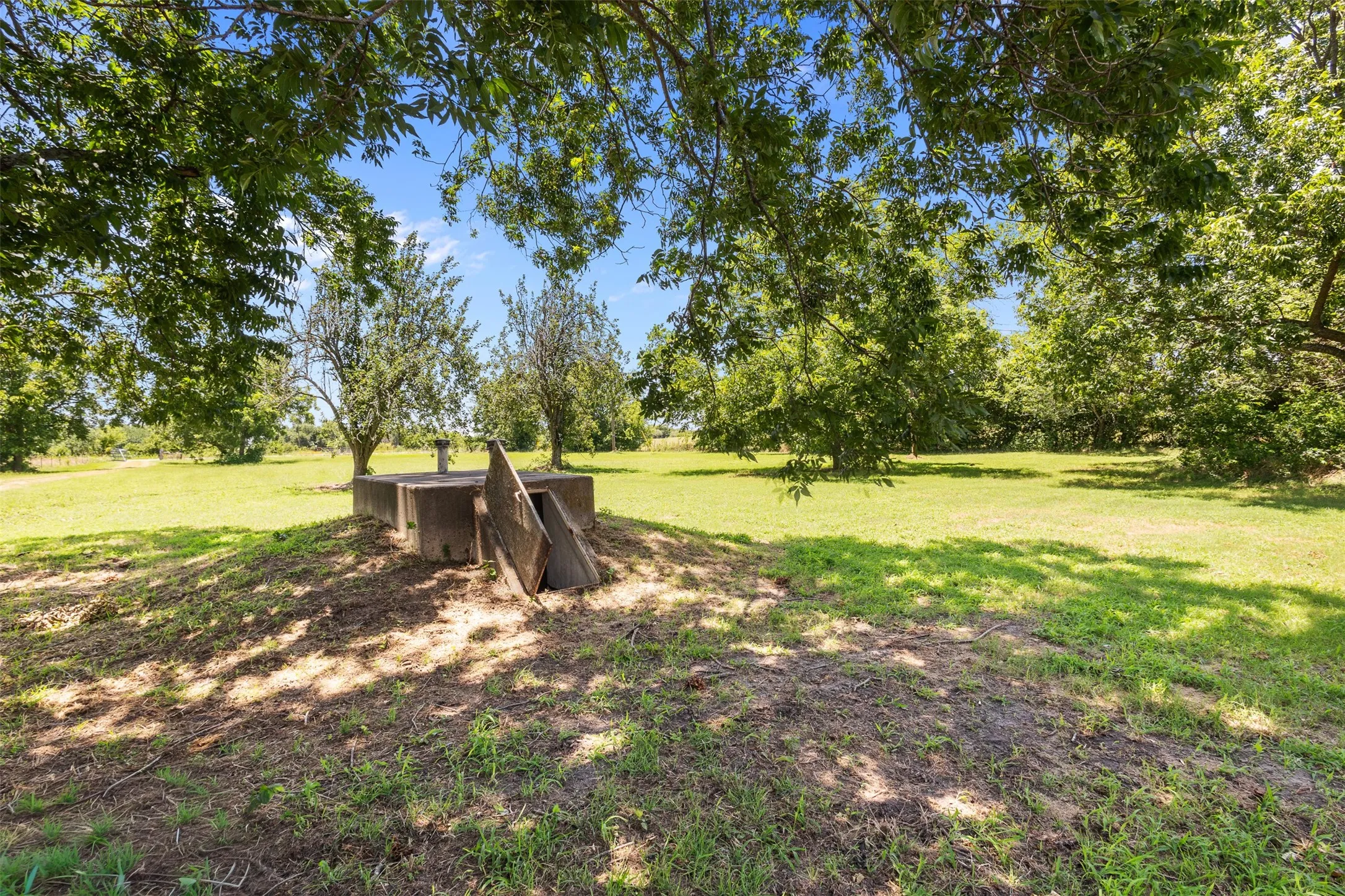 Expansive green space featuring mature trees and a concrete structure with an open wooden door