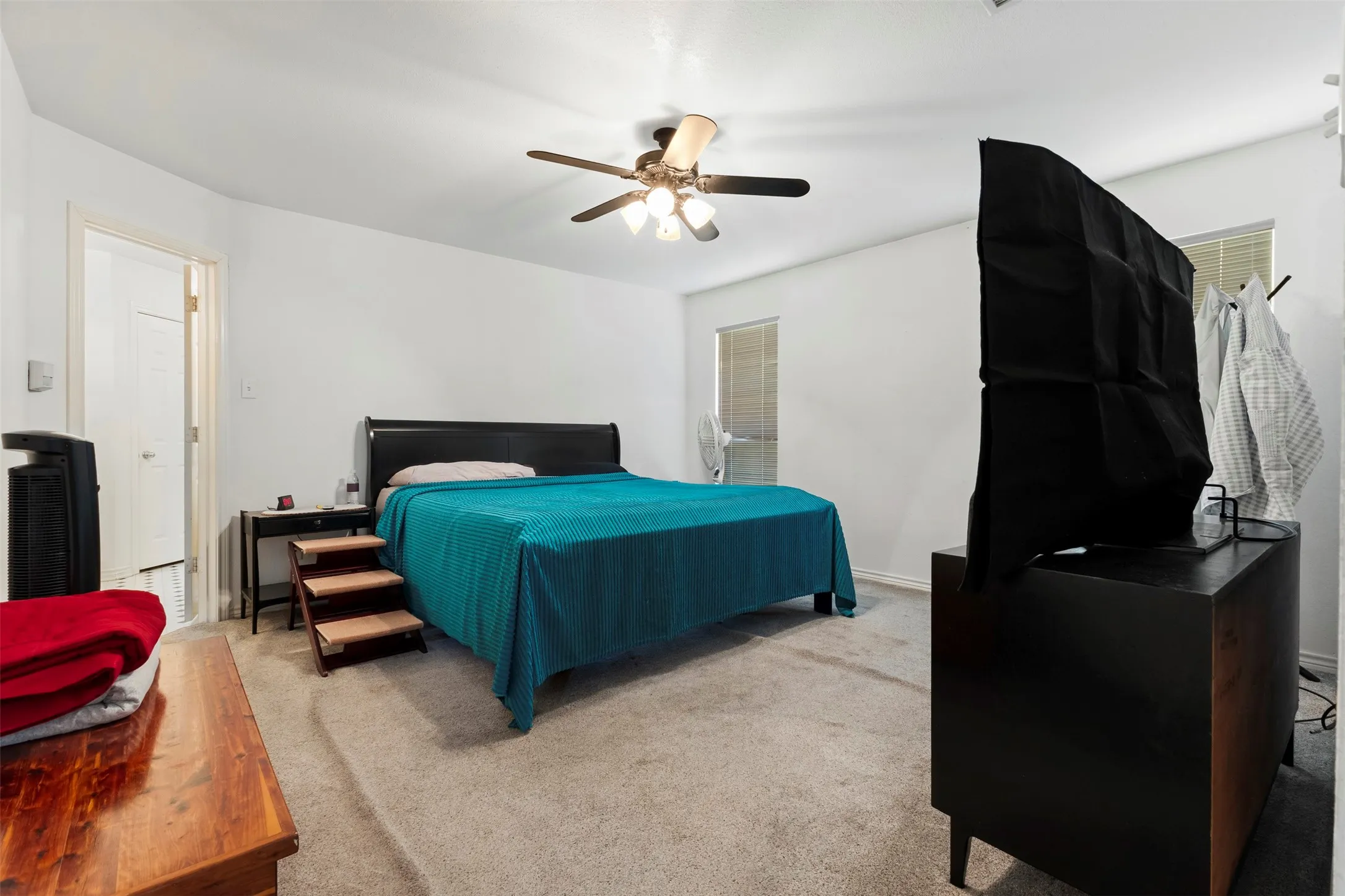 Carpeted bedroom with a ceiling fan light fixture and multiple windows for natural light