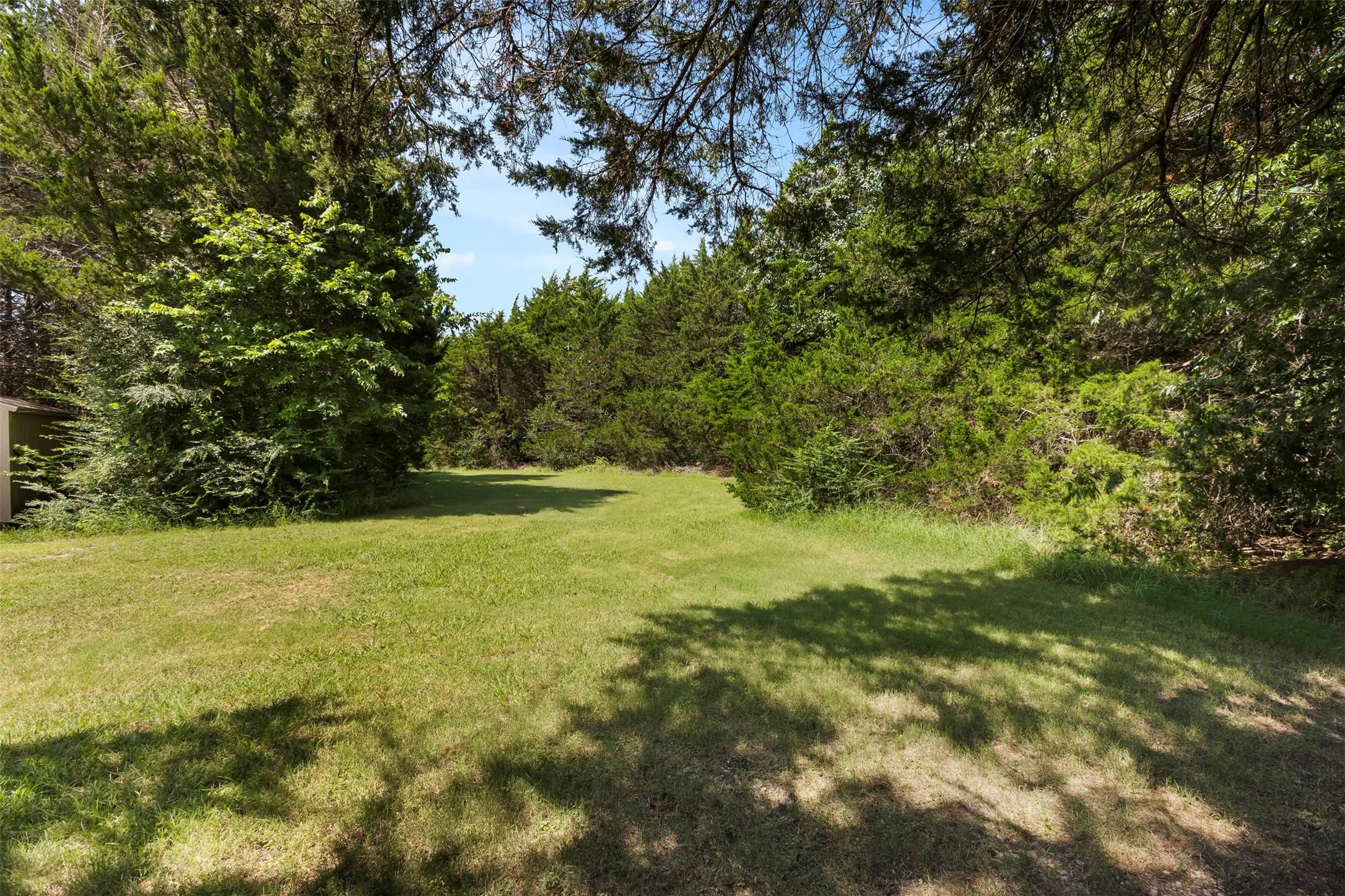 Expansive grassy area bordered by dense, mature trees