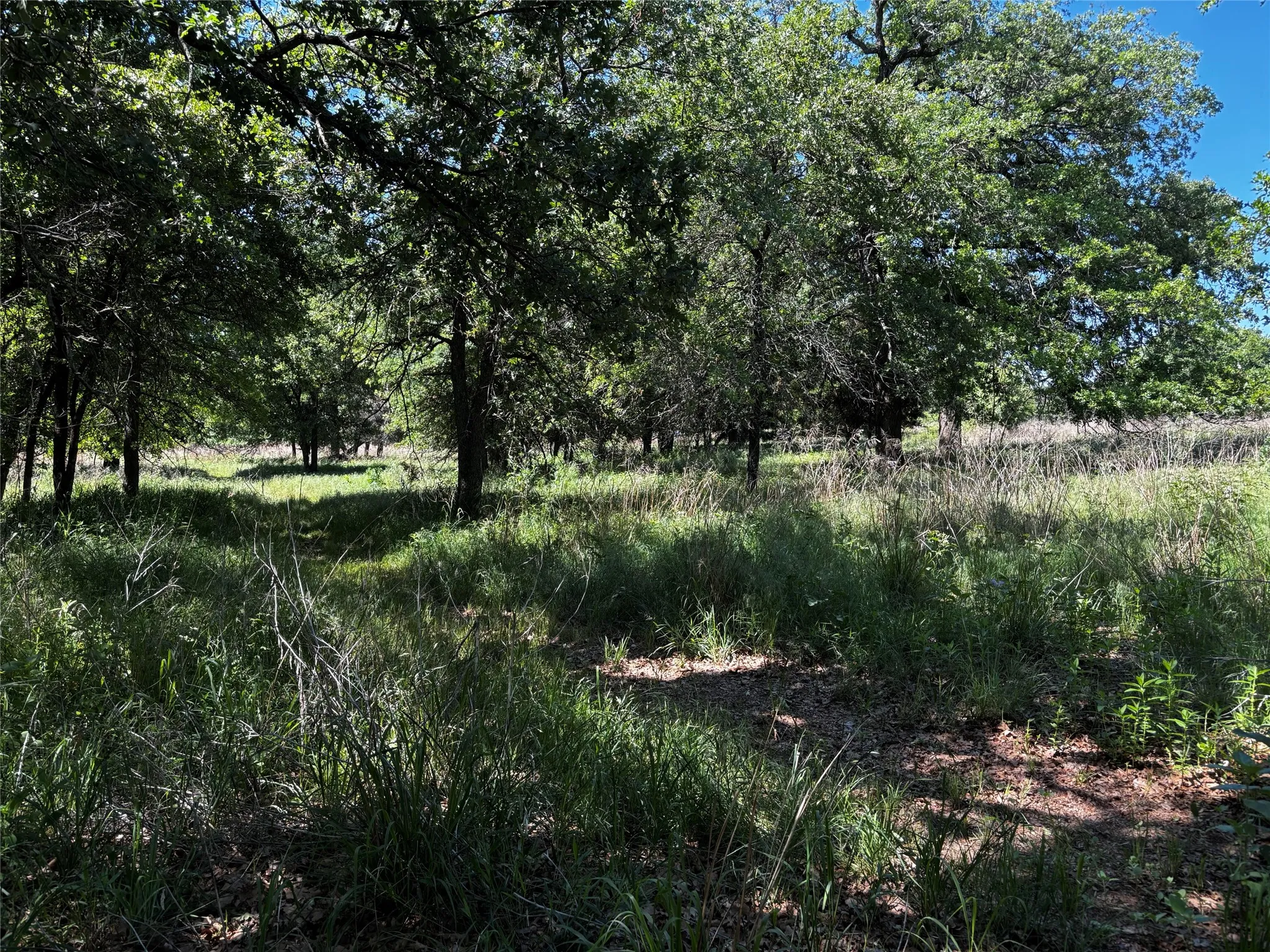 Unimproved Land For Sale in Parker County , 0 N Sandpiper Drive, Weatherford, Texas 76088, 0, 0, Garage spaces, 0 Sqft, built in 0, Price $114,900, mls#21315619, Real Estate Agent in Weatherford, Homes For Sale in Parker county, Homes For Sale in Weatherford, Realtor in Weatherford Texas, Real Estate Brokerage Independent Realty Texas, Luminita Cordes Realtor