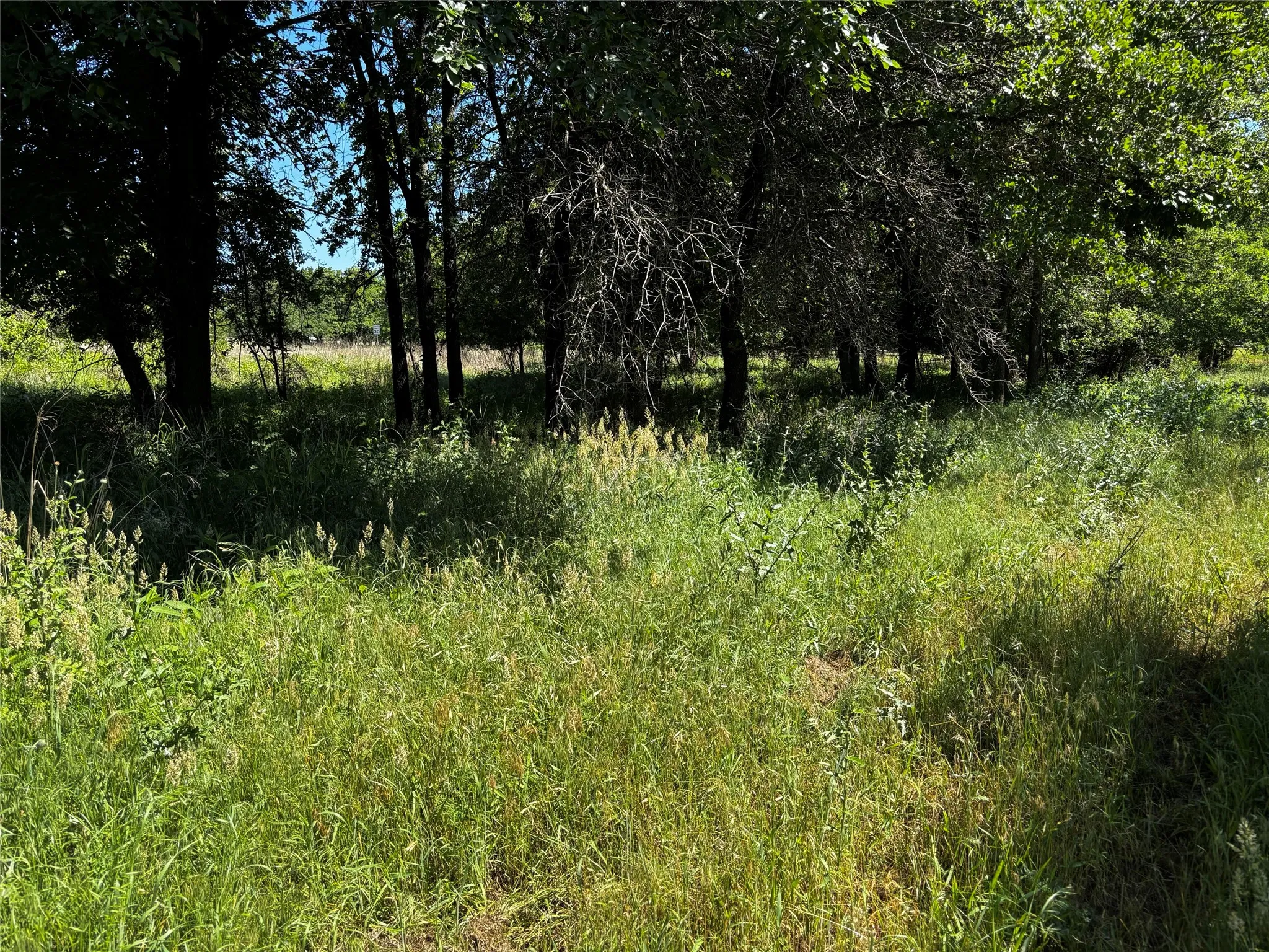 Unimproved Land For Sale in Parker County , 0 N Sandpiper Drive, Weatherford, Texas 76088, 0, 0, Garage spaces, 0 Sqft, built in 0, Price $114,900, mls#21315619, Real Estate Agent in Weatherford, Homes For Sale in Parker county, Homes For Sale in Weatherford, Realtor in Weatherford Texas, Real Estate Brokerage Independent Realty Texas, Luminita Cordes Realtor