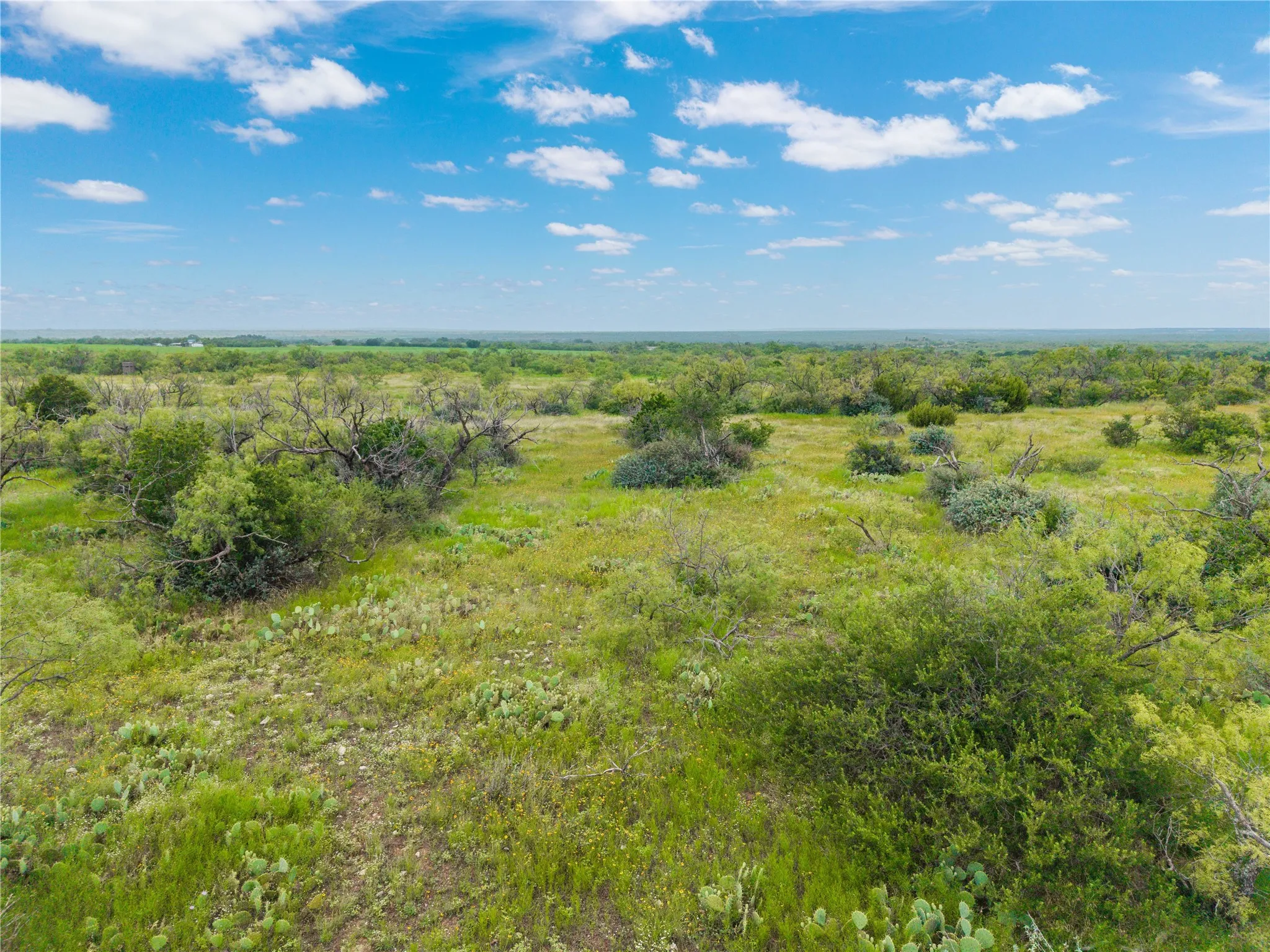 Ranch For Sale in Coleman County , 1050 County Road 258, Santa Anna, Texas 76878, 0, 0, Garage spaces, 0 Sqft, built in 0, Price $360,000, mls#21312628, Real Estate Agent in Santa Anna, Homes For Sale in Coleman county, Homes For Sale in Santa Anna, Realtor in Santa Anna Texas, Real Estate Brokerage Independent Realty Texas, Luminita Cordes Realtor