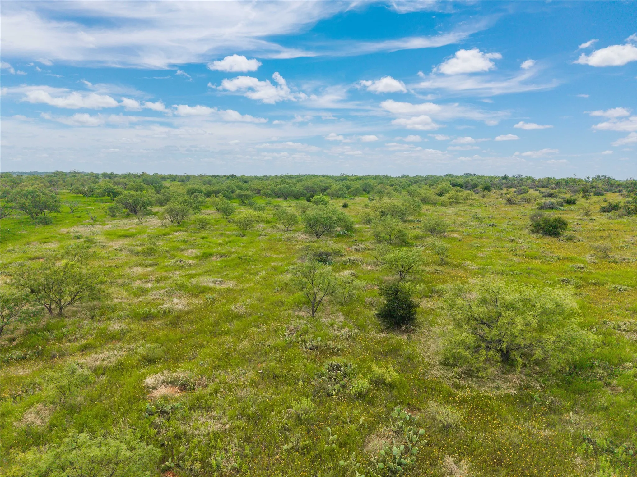 Ranch For Sale in Coleman County , 1050 County Road 258, Santa Anna, Texas 76878, 0, 0, Garage spaces, 0 Sqft, built in 0, Price $360,000, mls#21312628, Real Estate Agent in Santa Anna, Homes For Sale in Coleman county, Homes For Sale in Santa Anna, Realtor in Santa Anna Texas, Real Estate Brokerage Independent Realty Texas, Luminita Cordes Realtor