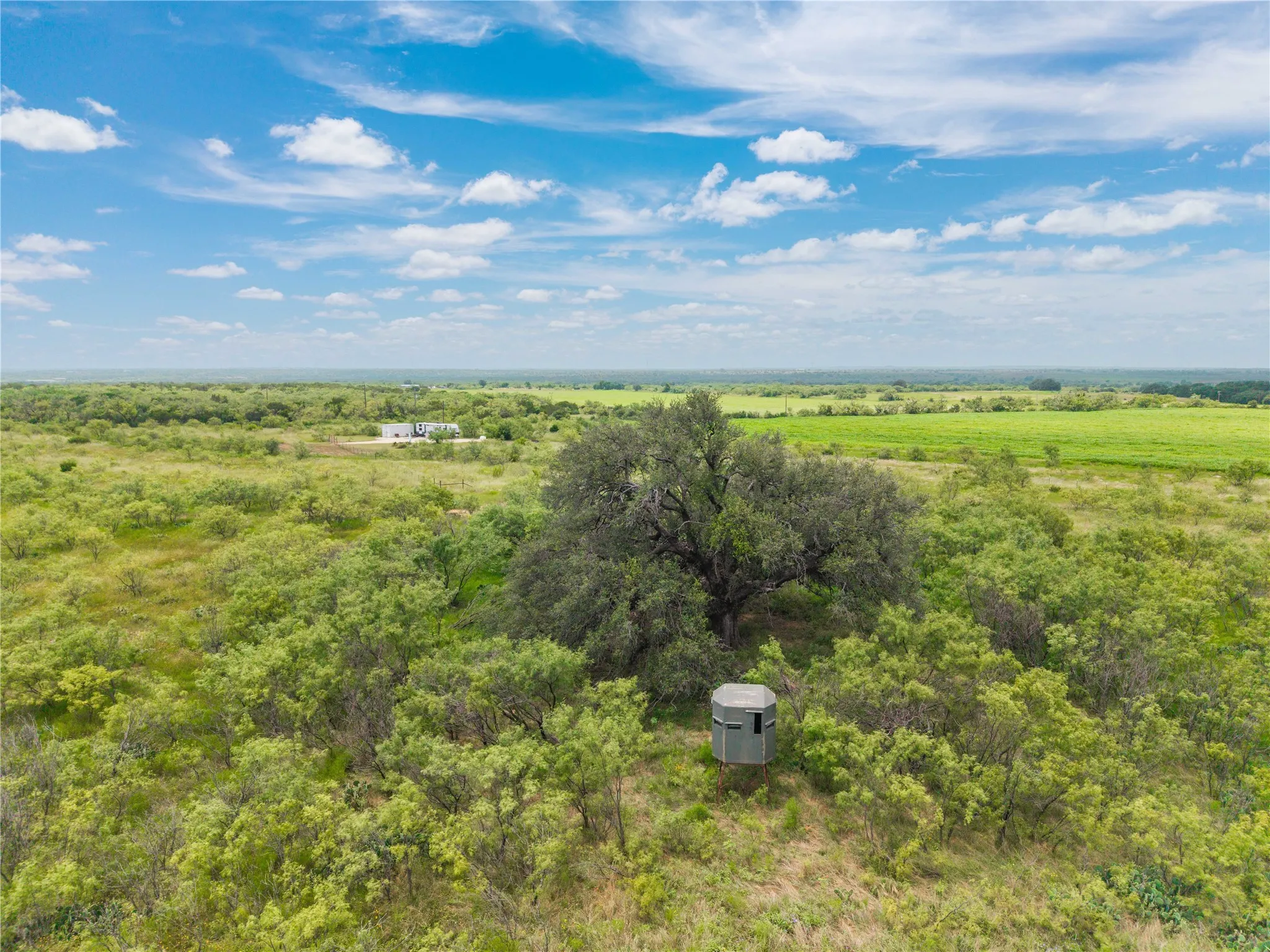 Ranch For Sale in Coleman County , 1050 County Road 258, Santa Anna, Texas 76878, 0, 0, Garage spaces, 0 Sqft, built in 0, Price $360,000, mls#21312628, Real Estate Agent in Santa Anna, Homes For Sale in Coleman county, Homes For Sale in Santa Anna, Realtor in Santa Anna Texas, Real Estate Brokerage Independent Realty Texas, Luminita Cordes Realtor
