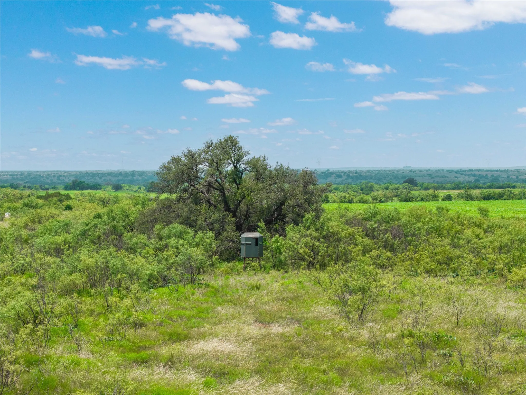 Ranch For Sale in Coleman County , 1050 County Road 258, Santa Anna, Texas 76878, 0, 0, Garage spaces, 0 Sqft, built in 0, Price $360,000, mls#21312628, Real Estate Agent in Santa Anna, Homes For Sale in Coleman county, Homes For Sale in Santa Anna, Realtor in Santa Anna Texas, Real Estate Brokerage Independent Realty Texas, Luminita Cordes Realtor