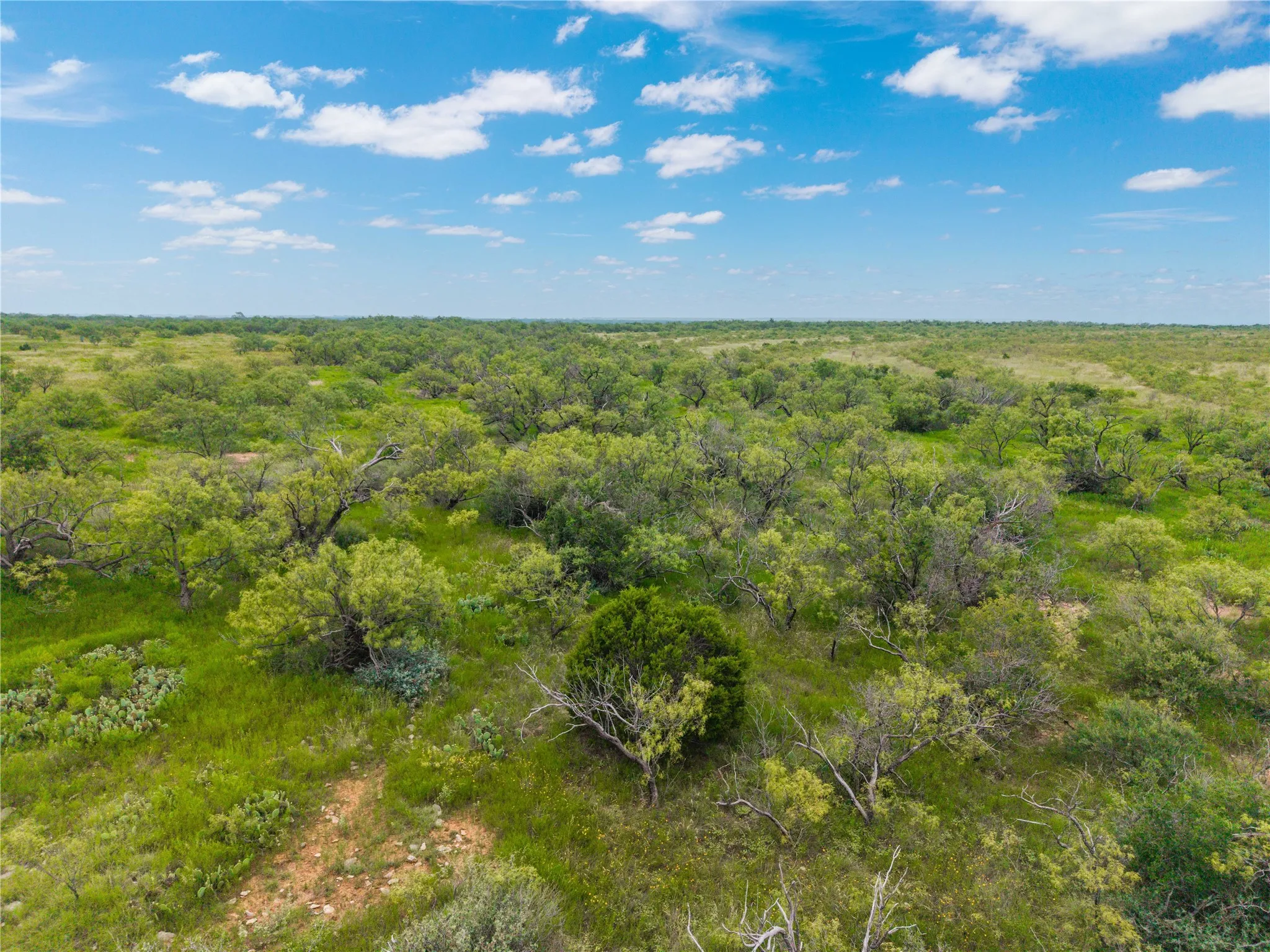 Ranch For Sale in Coleman County , 1050 County Road 258, Santa Anna, Texas 76878, 0, 0, Garage spaces, 0 Sqft, built in 0, Price $360,000, mls#21312628, Real Estate Agent in Santa Anna, Homes For Sale in Coleman county, Homes For Sale in Santa Anna, Realtor in Santa Anna Texas, Real Estate Brokerage Independent Realty Texas, Luminita Cordes Realtor