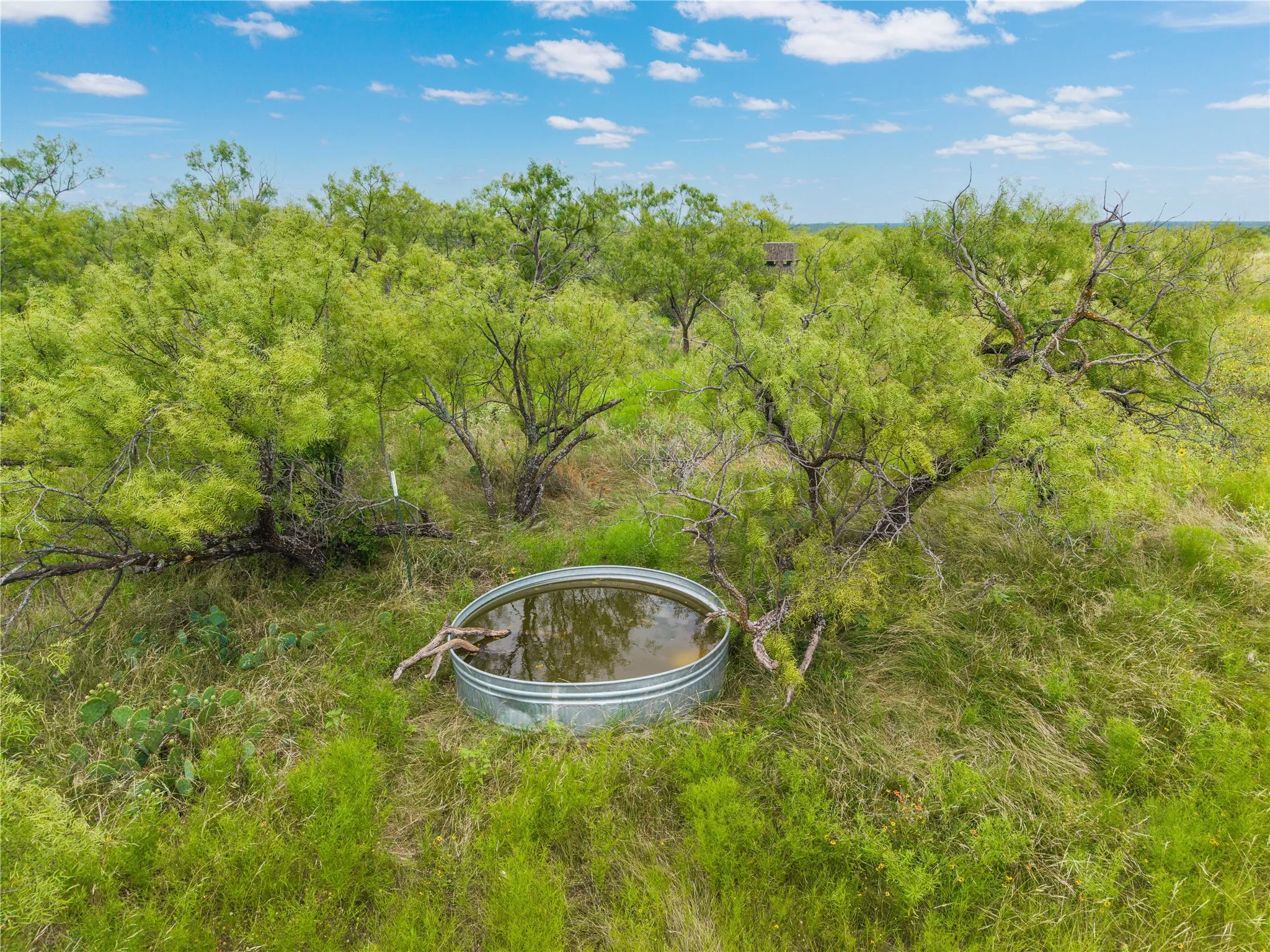 Ranch For Sale in Coleman County , 1050 County Road 258, Santa Anna, Texas 76878, 0, 0, Garage spaces, 0 Sqft, built in 0, Price $360,000, mls#21312628, Real Estate Agent in Santa Anna, Homes For Sale in Coleman county, Homes For Sale in Santa Anna, Realtor in Santa Anna Texas, Real Estate Brokerage Independent Realty Texas, Luminita Cordes Realtor