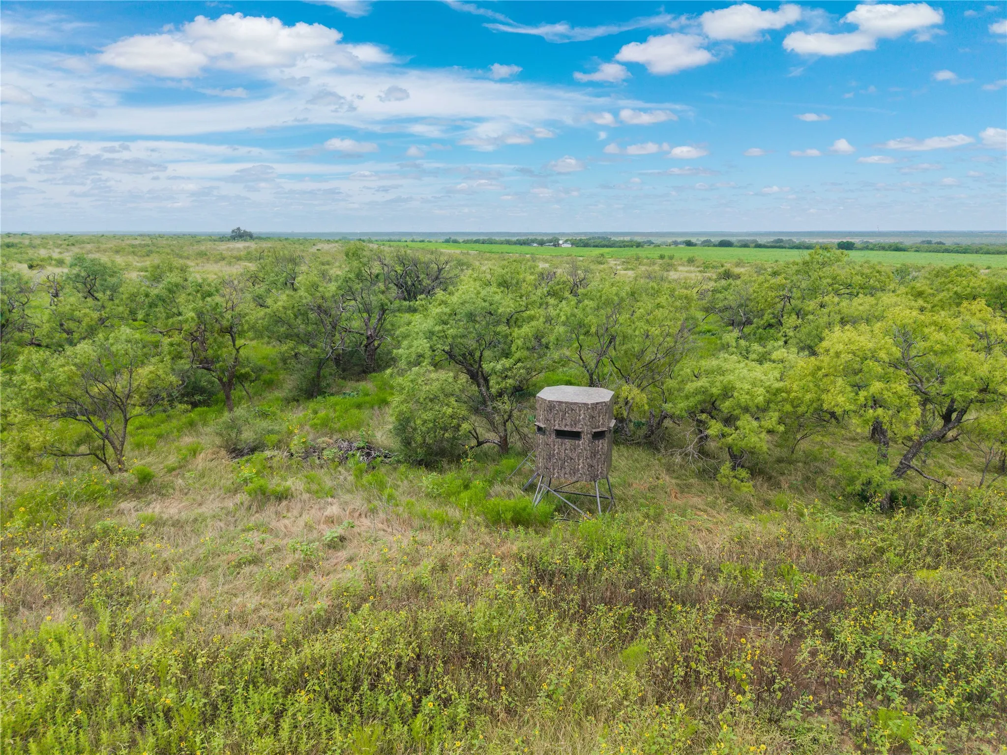 Ranch For Sale in Coleman County , 1050 County Road 258, Santa Anna, Texas 76878, 0, 0, Garage spaces, 0 Sqft, built in 0, Price $360,000, mls#21312628, Real Estate Agent in Santa Anna, Homes For Sale in Coleman county, Homes For Sale in Santa Anna, Realtor in Santa Anna Texas, Real Estate Brokerage Independent Realty Texas, Luminita Cordes Realtor