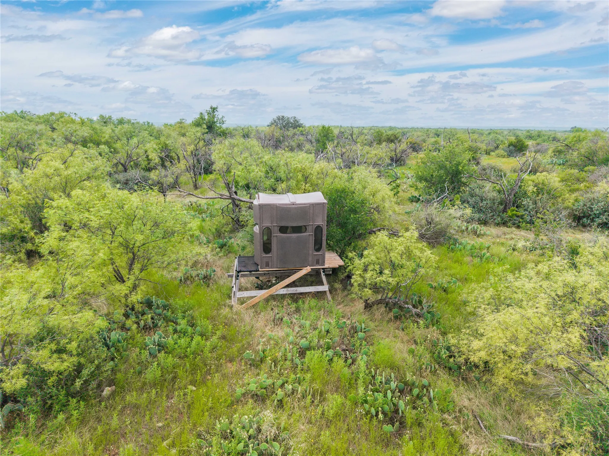 Ranch For Sale in Coleman County , 1050 County Road 258, Santa Anna, Texas 76878, 0, 0, Garage spaces, 0 Sqft, built in 0, Price $360,000, mls#21312628, Real Estate Agent in Santa Anna, Homes For Sale in Coleman county, Homes For Sale in Santa Anna, Realtor in Santa Anna Texas, Real Estate Brokerage Independent Realty Texas, Luminita Cordes Realtor
