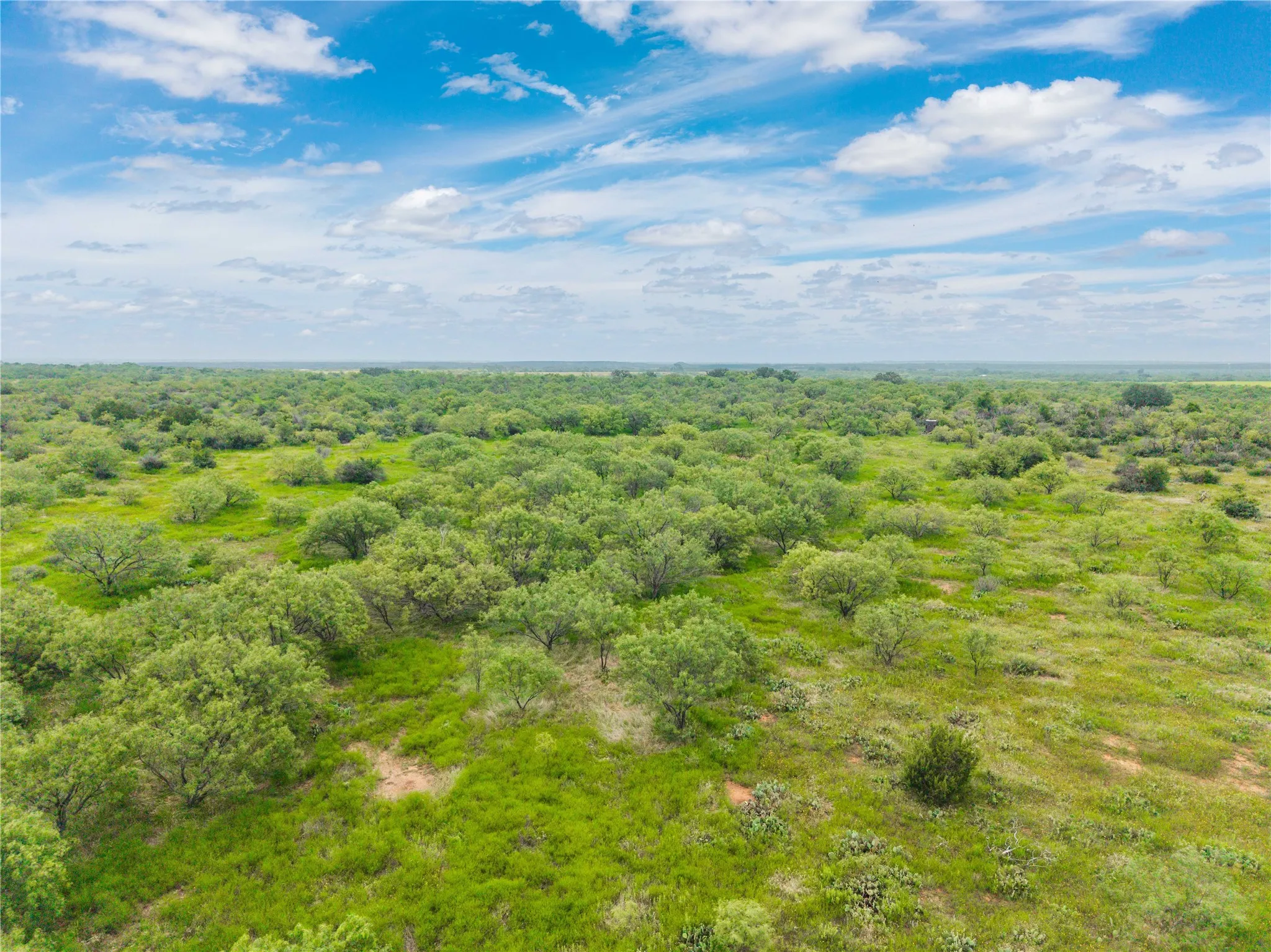 Ranch For Sale in Coleman County , 1050 County Road 258, Santa Anna, Texas 76878, 0, 0, Garage spaces, 0 Sqft, built in 0, Price $360,000, mls#21312628, Real Estate Agent in Santa Anna, Homes For Sale in Coleman county, Homes For Sale in Santa Anna, Realtor in Santa Anna Texas, Real Estate Brokerage Independent Realty Texas, Luminita Cordes Realtor