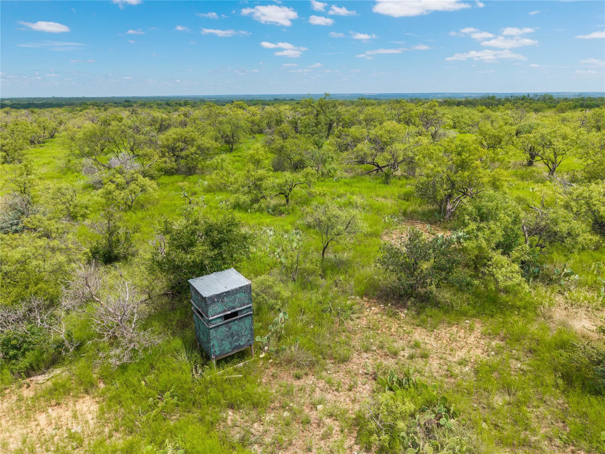 Ranch For Sale in Coleman County , 1050 County Road 258, Santa Anna, Texas 76878, 0, 0, Garage spaces, 0 Sqft, built in 0, Price $360,000, mls#21312628, Real Estate Agent in Santa Anna, Homes For Sale in Coleman county, Homes For Sale in Santa Anna, Realtor in Santa Anna Texas, Real Estate Brokerage Independent Realty Texas, Luminita Cordes Realtor