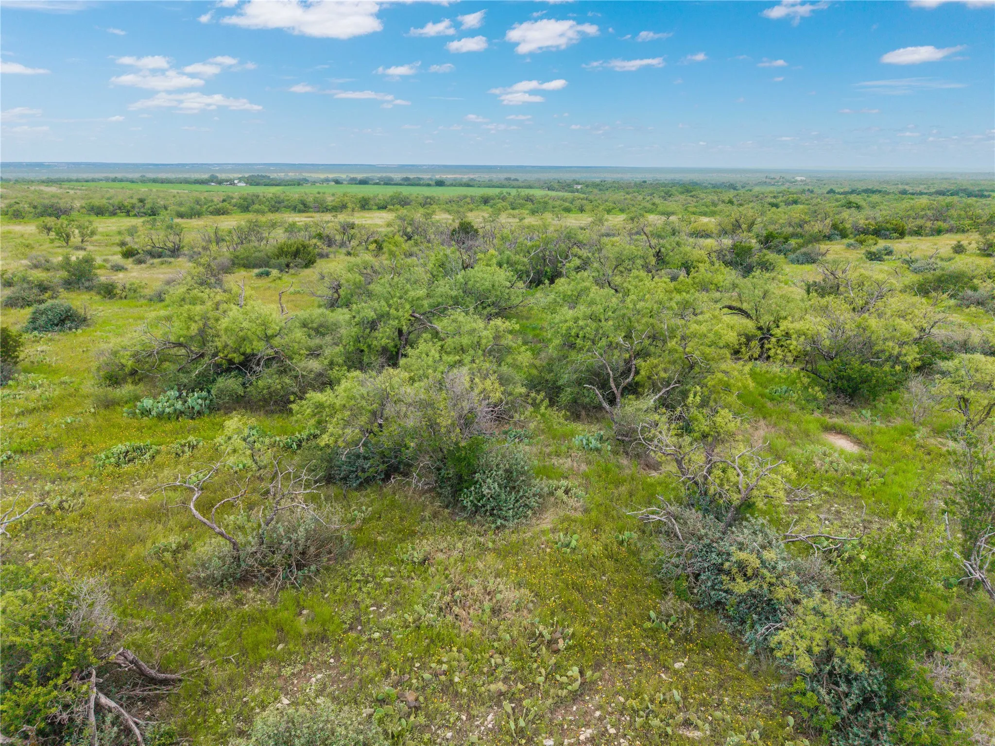 Ranch For Sale in Coleman County , 1050 County Road 258, Santa Anna, Texas 76878, 0, 0, Garage spaces, 0 Sqft, built in 0, Price $360,000, mls#21312628, Real Estate Agent in Santa Anna, Homes For Sale in Coleman county, Homes For Sale in Santa Anna, Realtor in Santa Anna Texas, Real Estate Brokerage Independent Realty Texas, Luminita Cordes Realtor