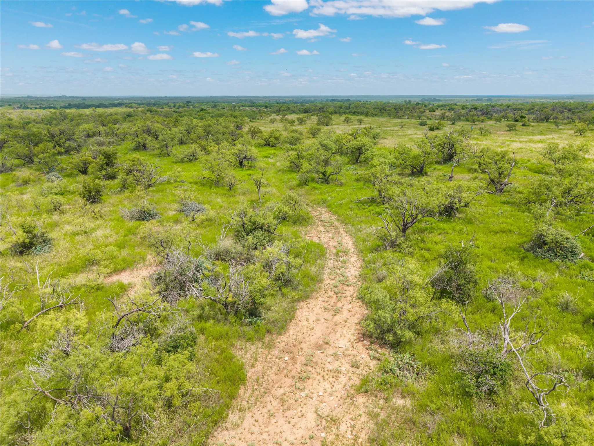 Ranch For Sale in Coleman County , 1050 County Road 258, Santa Anna, Texas 76878, 0, 0, Garage spaces, 0 Sqft, built in 0, Price $360,000, mls#21312628, Real Estate Agent in Santa Anna, Homes For Sale in Coleman county, Homes For Sale in Santa Anna, Realtor in Santa Anna Texas, Real Estate Brokerage Independent Realty Texas, Luminita Cordes Realtor