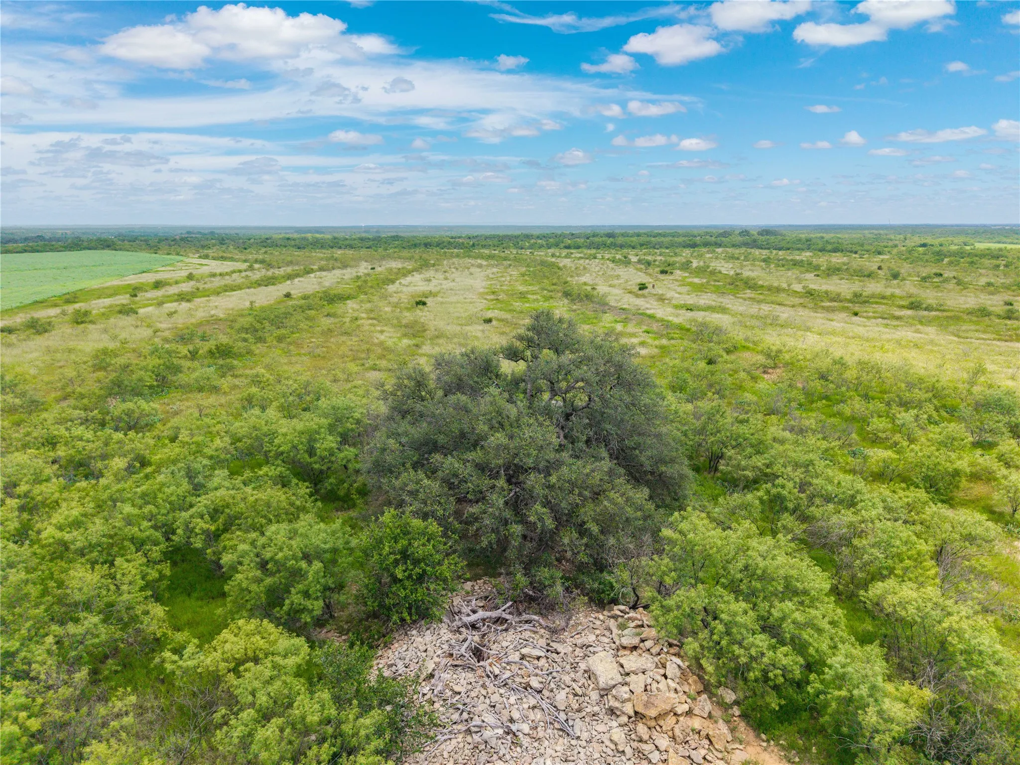 Ranch For Sale in Coleman County , 1050 County Road 258, Santa Anna, Texas 76878, 0, 0, Garage spaces, 0 Sqft, built in 0, Price $360,000, mls#21312628, Real Estate Agent in Santa Anna, Homes For Sale in Coleman county, Homes For Sale in Santa Anna, Realtor in Santa Anna Texas, Real Estate Brokerage Independent Realty Texas, Luminita Cordes Realtor
