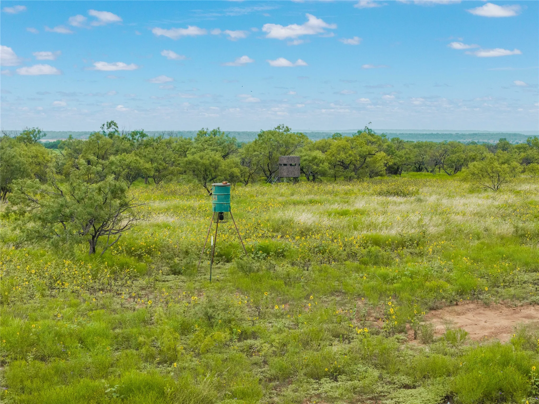 Ranch For Sale in Coleman County , 1050 County Road 258, Santa Anna, Texas 76878, 0, 0, Garage spaces, 0 Sqft, built in 0, Price $360,000, mls#21312628, Real Estate Agent in Santa Anna, Homes For Sale in Coleman county, Homes For Sale in Santa Anna, Realtor in Santa Anna Texas, Real Estate Brokerage Independent Realty Texas, Luminita Cordes Realtor