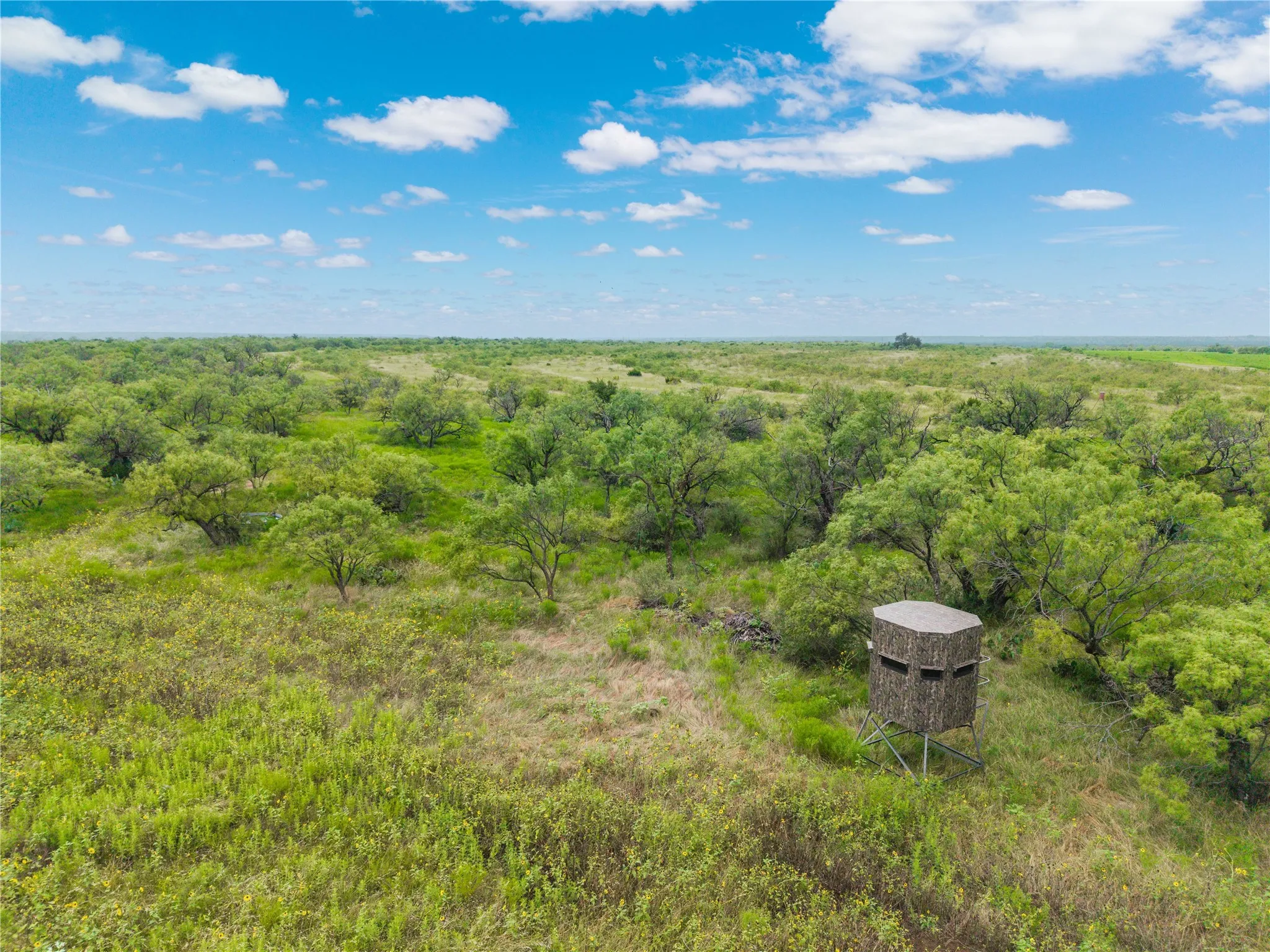 Ranch For Sale in Coleman County , 1050 County Road 258, Santa Anna, Texas 76878, 0, 0, Garage spaces, 0 Sqft, built in 0, Price $360,000, mls#21312628, Real Estate Agent in Santa Anna, Homes For Sale in Coleman county, Homes For Sale in Santa Anna, Realtor in Santa Anna Texas, Real Estate Brokerage Independent Realty Texas, Luminita Cordes Realtor