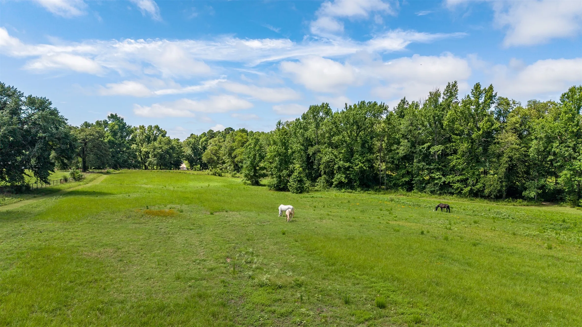 Ranch For Sale in Smith County , 15753 COUNTY ROAD 223, Tyler, Texas 75707, 0, 0, Garage spaces, 0 Sqft, built in 2001, mls#21315632, Real Estate Agent in Tyler, Homes For Sale in Smith county, Homes For Sale in Tyler, Realtor in Tyler Texas, Real Estate Brokerage Independent Realty Texas, Luminita Cordes Realtor