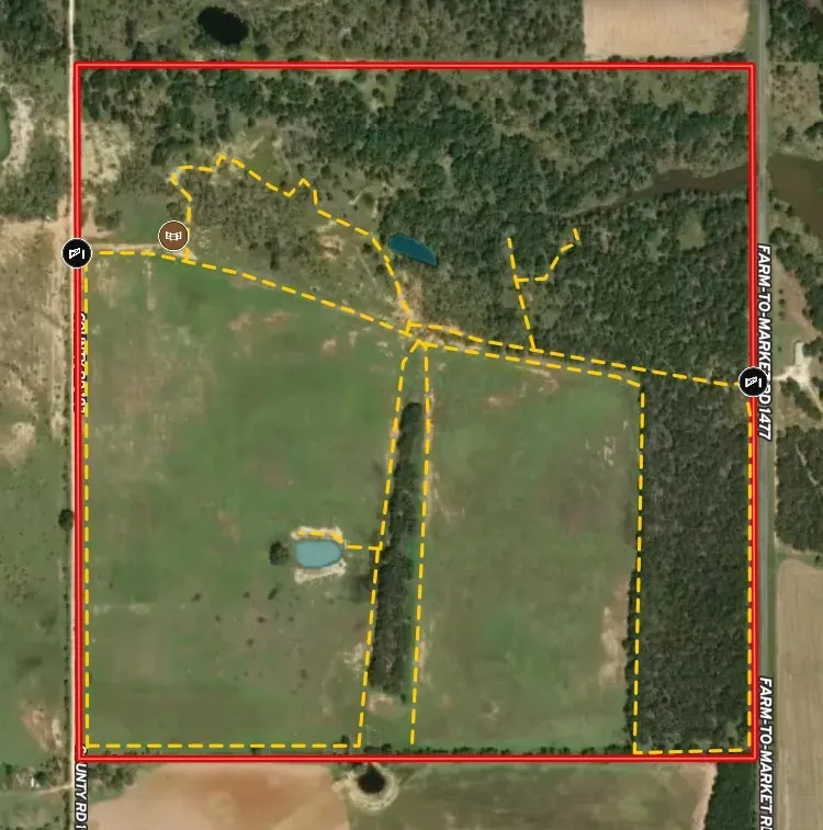 Property Survey. Indicating the property boundaries and internal features