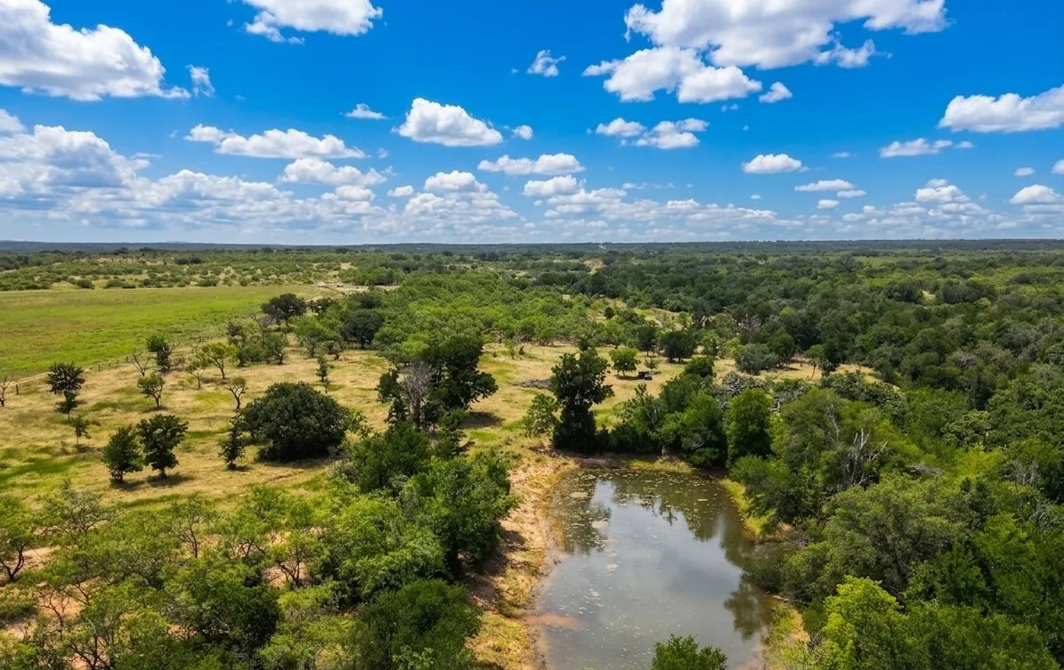Expansive acreage featuring a natural pond, diverse tree coverage, open grassy areas, and distant tree lines under a bright sky