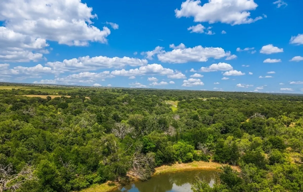 Expansive land featuring a dense tree canopy, open fields in the distance, and a natural body of water