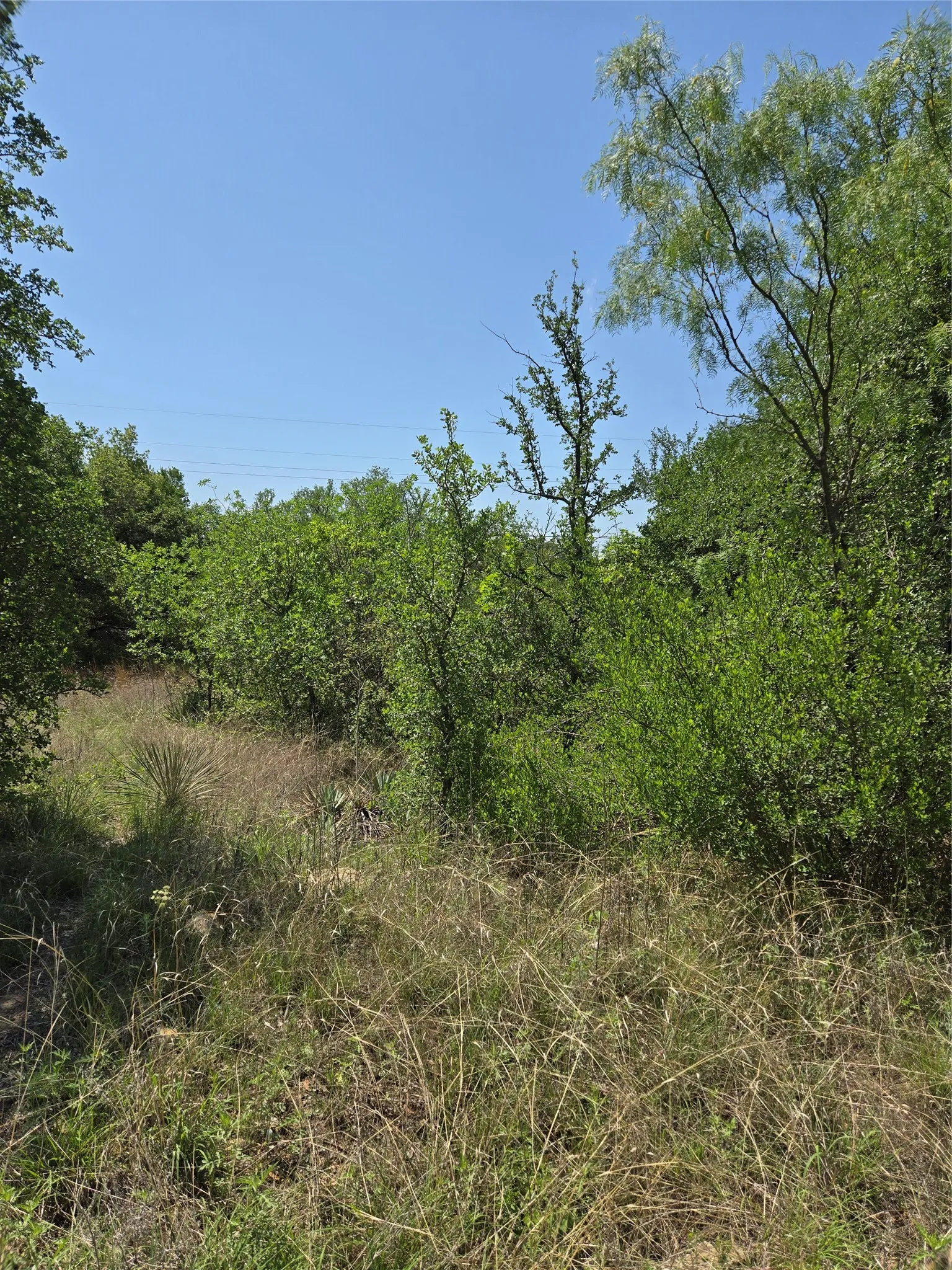 Unimproved Land For Sale in Brown County , 7143 Dillard Drive, Brownwood, Texas 76801, 0, 0, Garage spaces, 0 Sqft, built in 0, Price $10,000, mls#21315681, Real Estate Agent in Brownwood, Homes For Sale in Brown county, Homes For Sale in Brownwood, Realtor in Brownwood Texas, Real Estate Brokerage Independent Realty Texas, Luminita Cordes Realtor