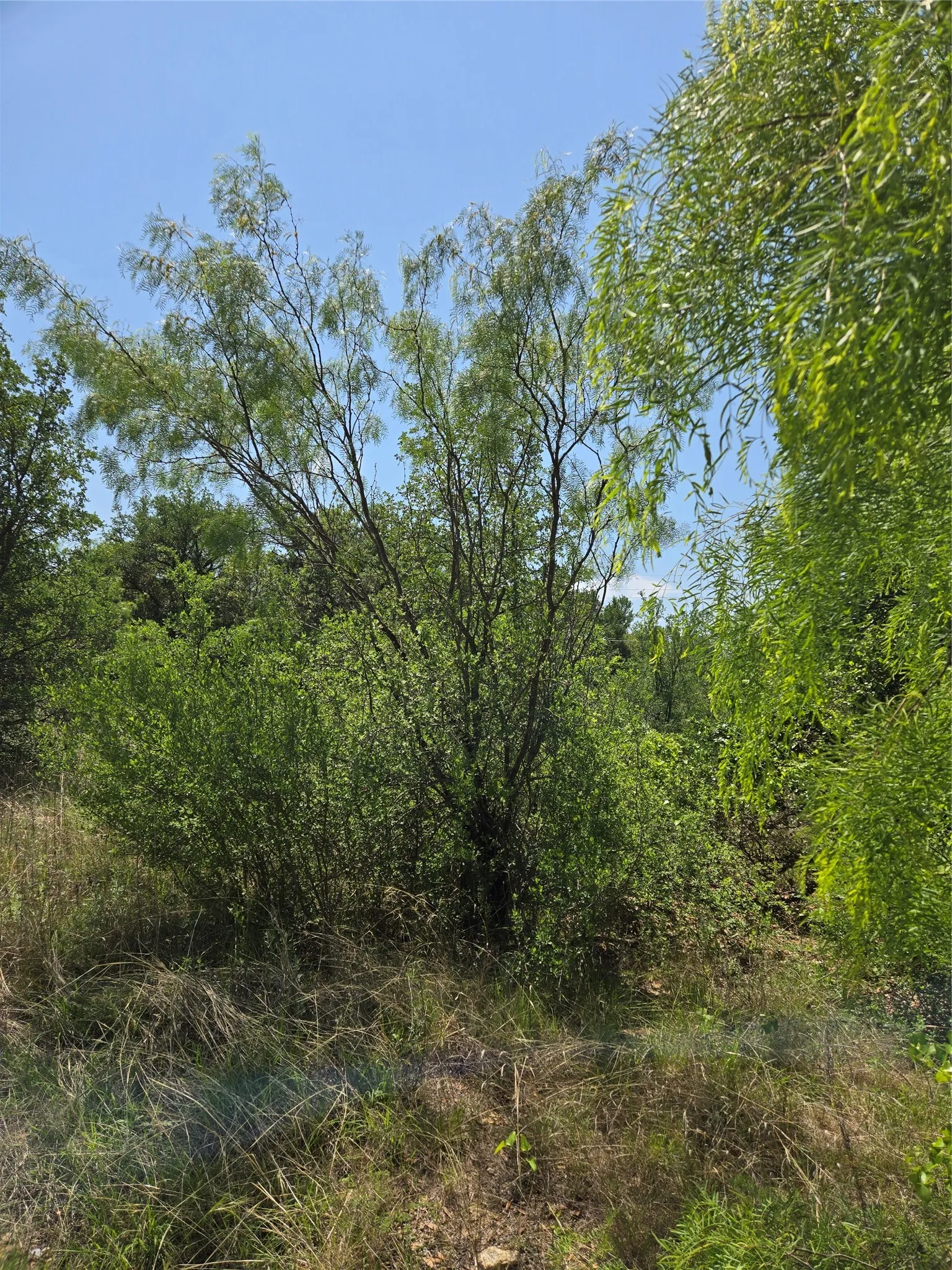 Unimproved Land For Sale in Brown County , 7143 Dillard Drive, Brownwood, Texas 76801, 0, 0, Garage spaces, 0 Sqft, built in 0, Price $10,000, mls#21315681, Real Estate Agent in Brownwood, Homes For Sale in Brown county, Homes For Sale in Brownwood, Realtor in Brownwood Texas, Real Estate Brokerage Independent Realty Texas, Luminita Cordes Realtor
