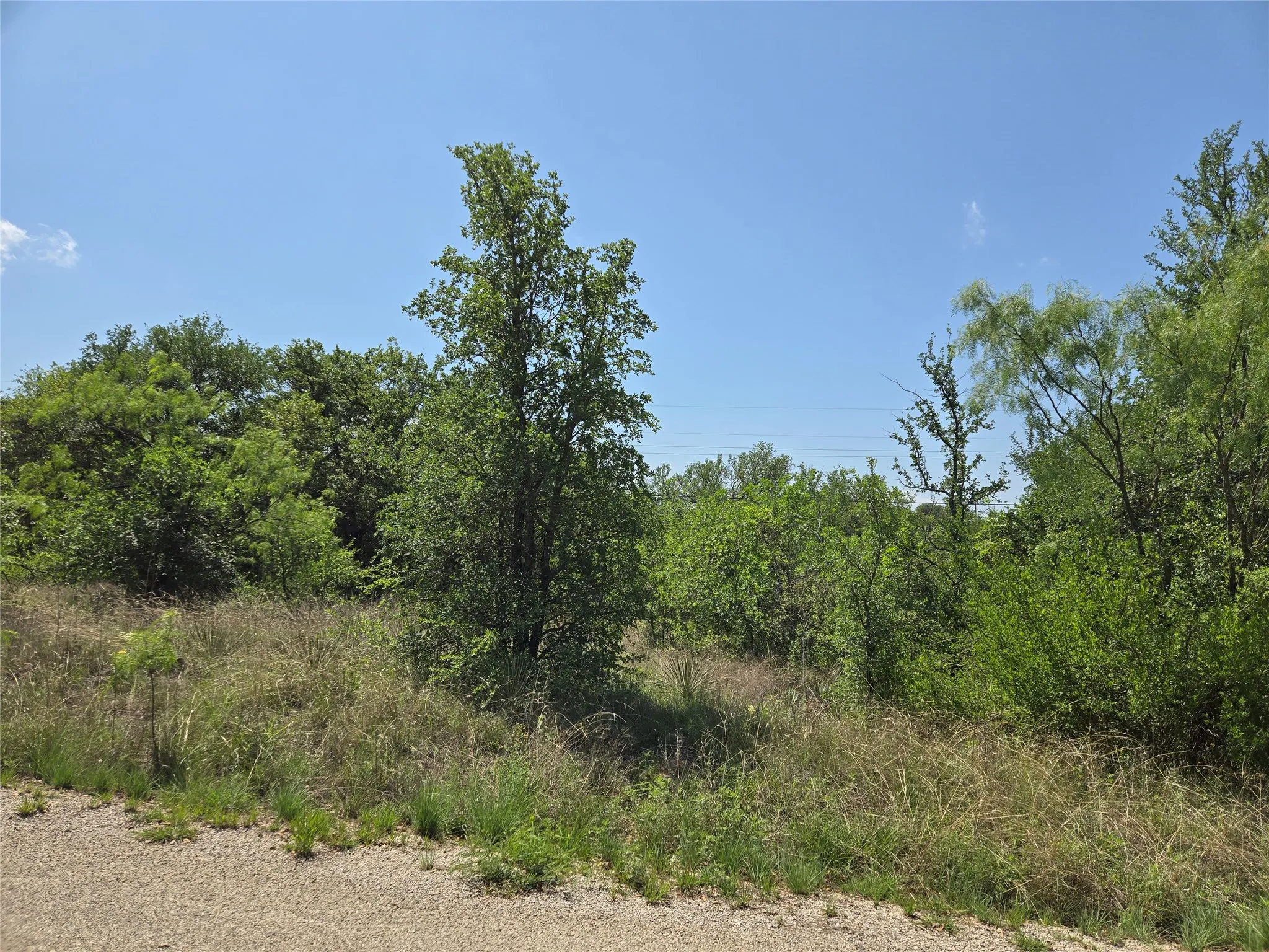 Unimproved Land For Sale in Brown County , 7143 Dillard Drive, Brownwood, Texas 76801, 0, 0, Garage spaces, 0 Sqft, built in 0, Price $10,000, mls#21315681, Real Estate Agent in Brownwood, Homes For Sale in Brown county, Homes For Sale in Brownwood, Realtor in Brownwood Texas, Real Estate Brokerage Independent Realty Texas, Luminita Cordes Realtor