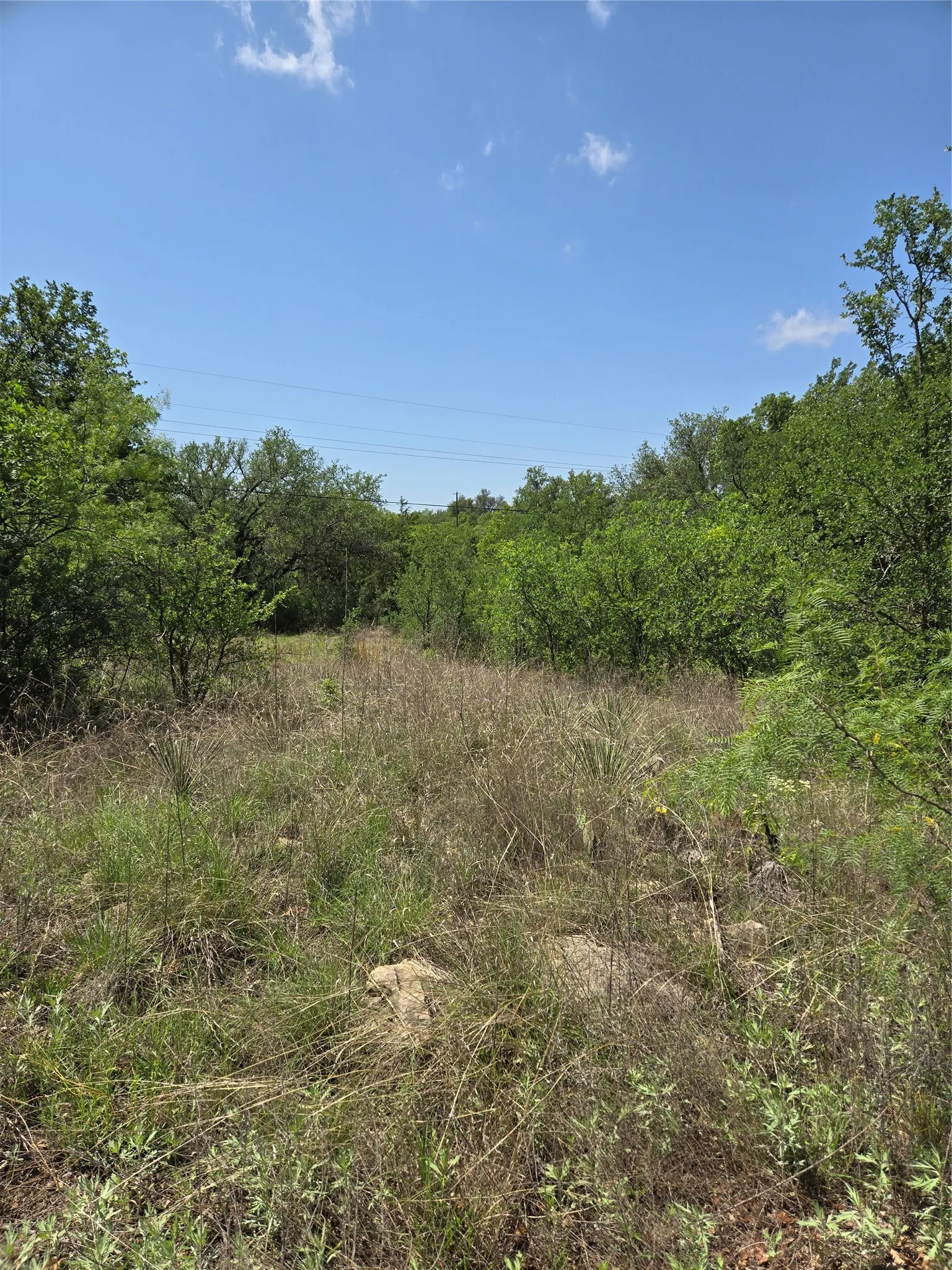 Unimproved Land For Sale in Brown County , 7143 Dillard Drive, Brownwood, Texas 76801, 0, 0, Garage spaces, 0 Sqft, built in 0, Price $10,000, mls#21315681, Real Estate Agent in Brownwood, Homes For Sale in Brown county, Homes For Sale in Brownwood, Realtor in Brownwood Texas, Real Estate Brokerage Independent Realty Texas, Luminita Cordes Realtor