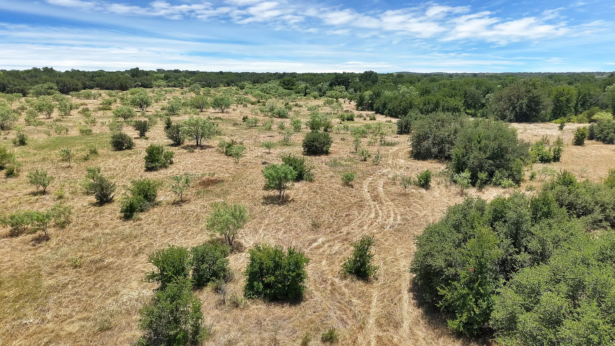 Unimproved Land For Sale in Stephens County , TBD County Road 136 #59, Ranger, Texas 76424, 0, 0, Garage spaces, 0 Sqft, built in 0, mls#21315885, Real Estate Agent in Ranger, Homes For Sale in Stephens county, Homes For Sale in Ranger, Realtor in Ranger Texas, Real Estate Brokerage Independent Realty Texas, Luminita Cordes Realtor