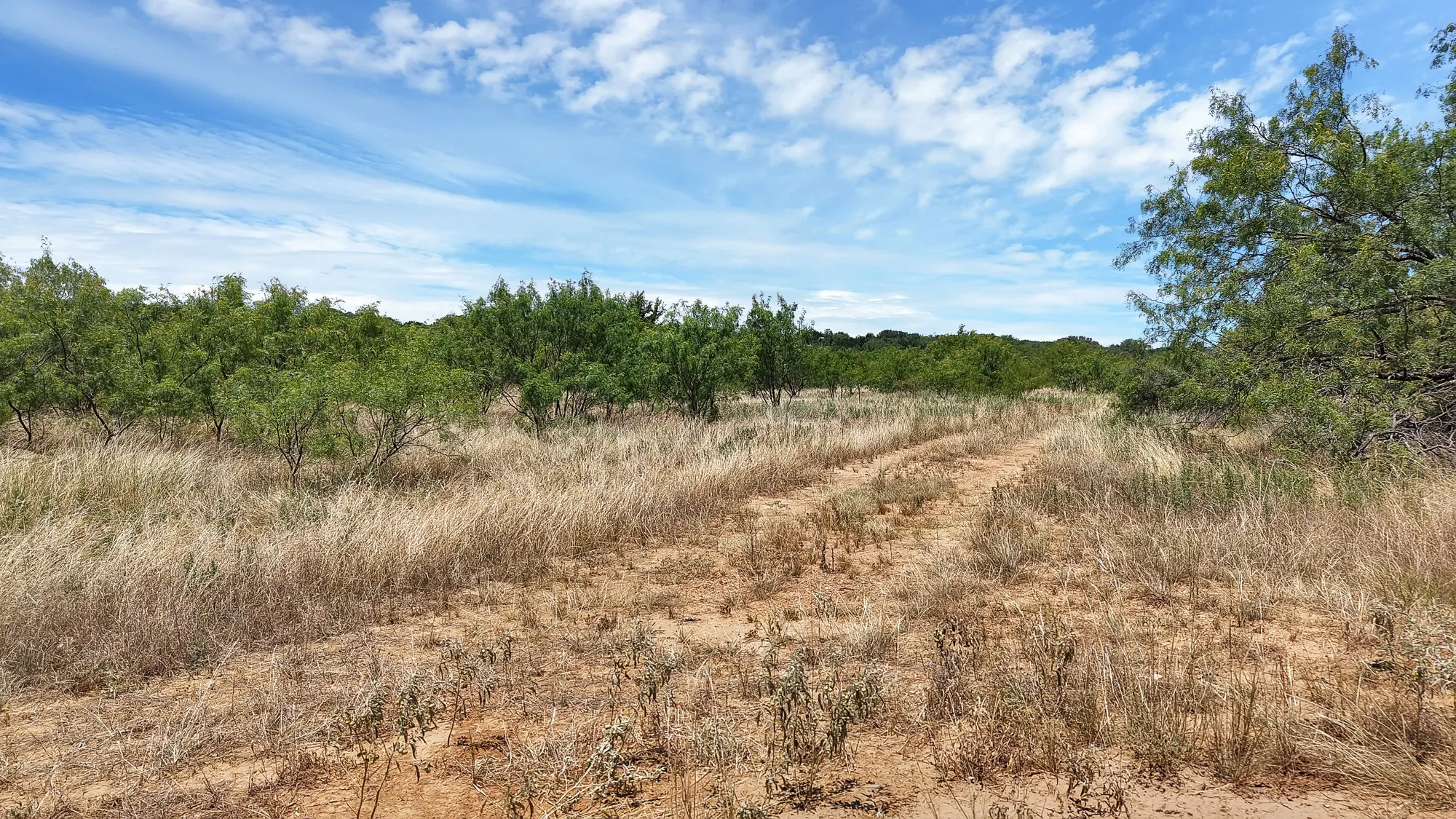 Unimproved Land For Sale in Stephens County , TBD County Road 136 #59, Ranger, Texas 76424, 0, 0, Garage spaces, 0 Sqft, built in 0, mls#21315885, Real Estate Agent in Ranger, Homes For Sale in Stephens county, Homes For Sale in Ranger, Realtor in Ranger Texas, Real Estate Brokerage Independent Realty Texas, Luminita Cordes Realtor