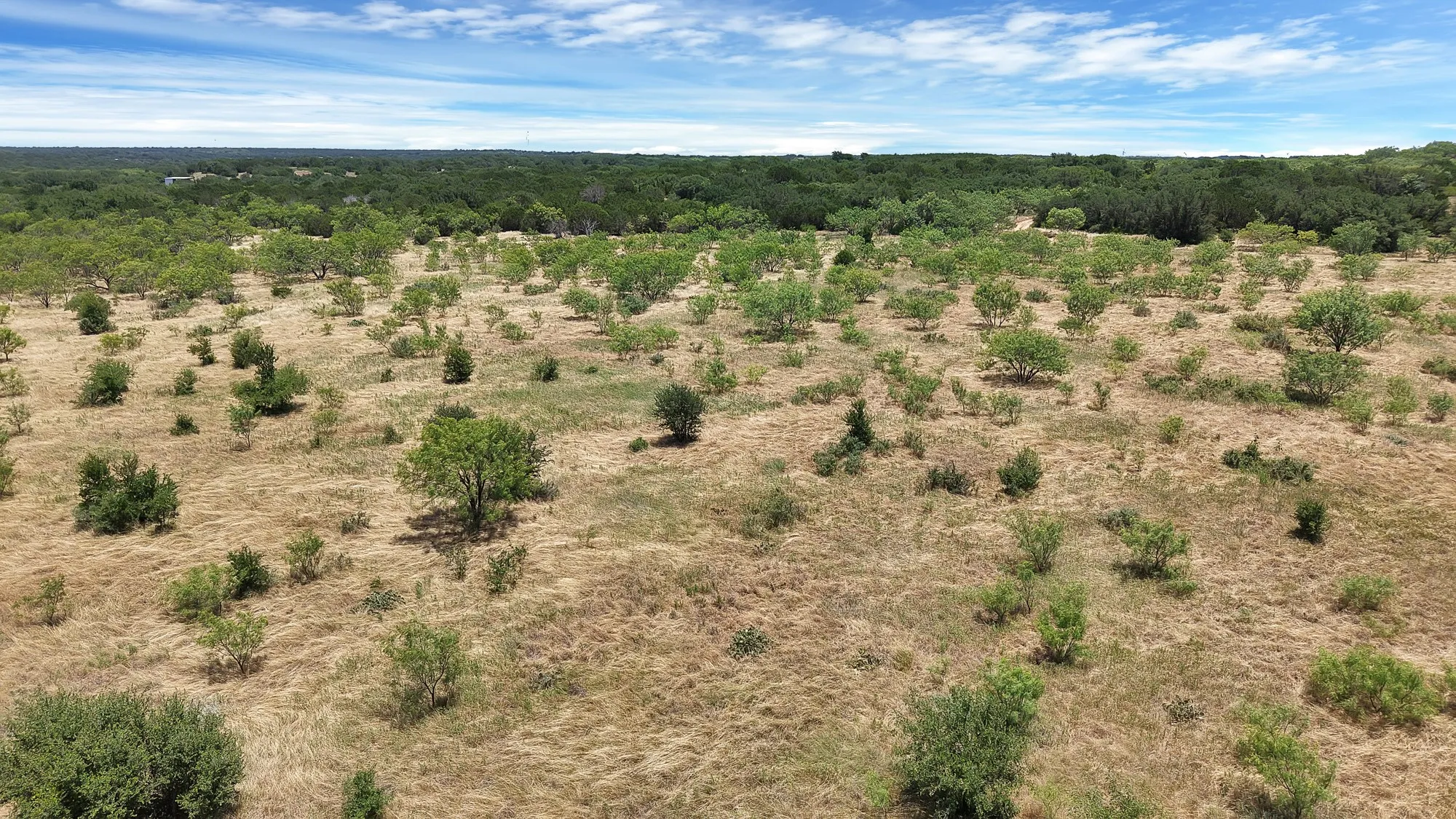 Unimproved Land For Sale in Stephens County , TBD County Road 136 #59, Ranger, Texas 76424, 0, 0, Garage spaces, 0 Sqft, built in 0, mls#21315885, Real Estate Agent in Ranger, Homes For Sale in Stephens county, Homes For Sale in Ranger, Realtor in Ranger Texas, Real Estate Brokerage Independent Realty Texas, Luminita Cordes Realtor