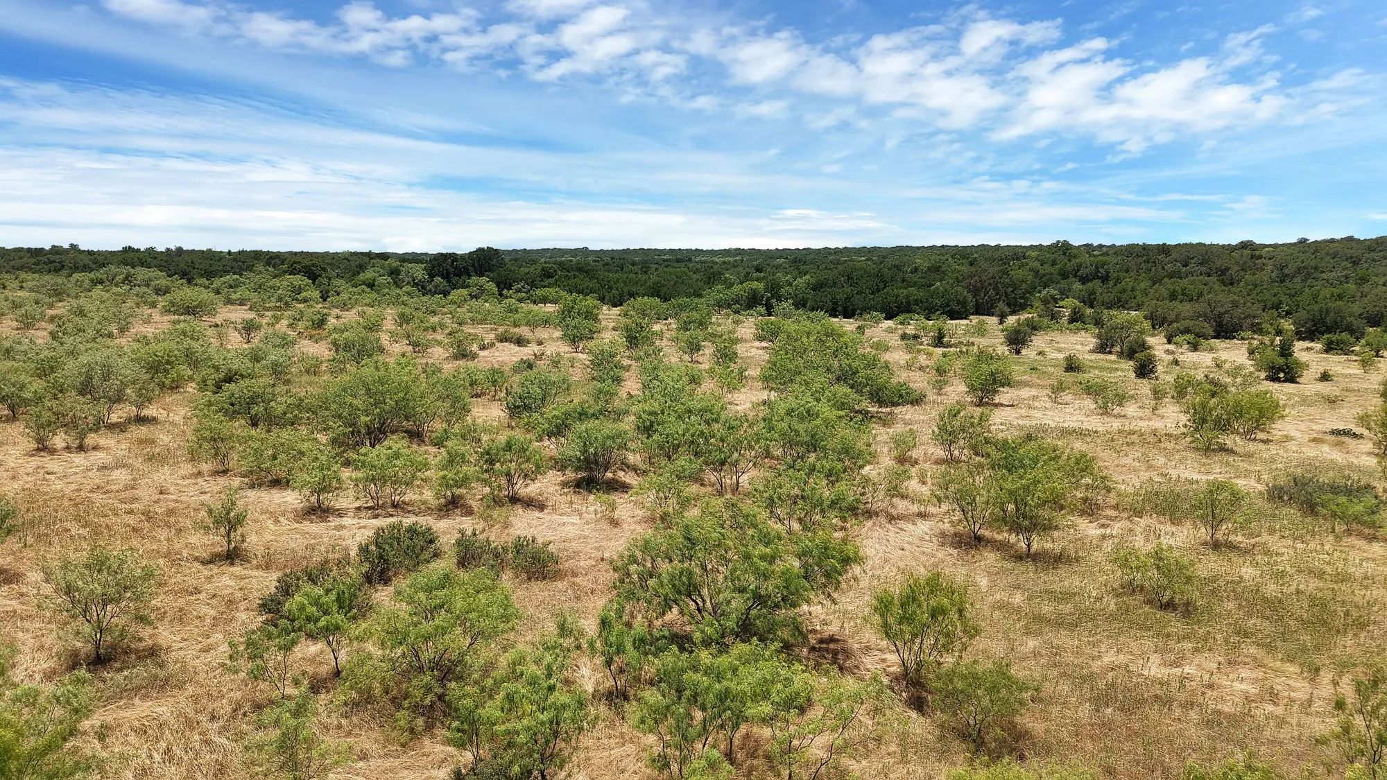 Unimproved Land For Sale in Stephens County , TBD County Road 136 #59, Ranger, Texas 76424, 0, 0, Garage spaces, 0 Sqft, built in 0, mls#21315885, Real Estate Agent in Ranger, Homes For Sale in Stephens county, Homes For Sale in Ranger, Realtor in Ranger Texas, Real Estate Brokerage Independent Realty Texas, Luminita Cordes Realtor