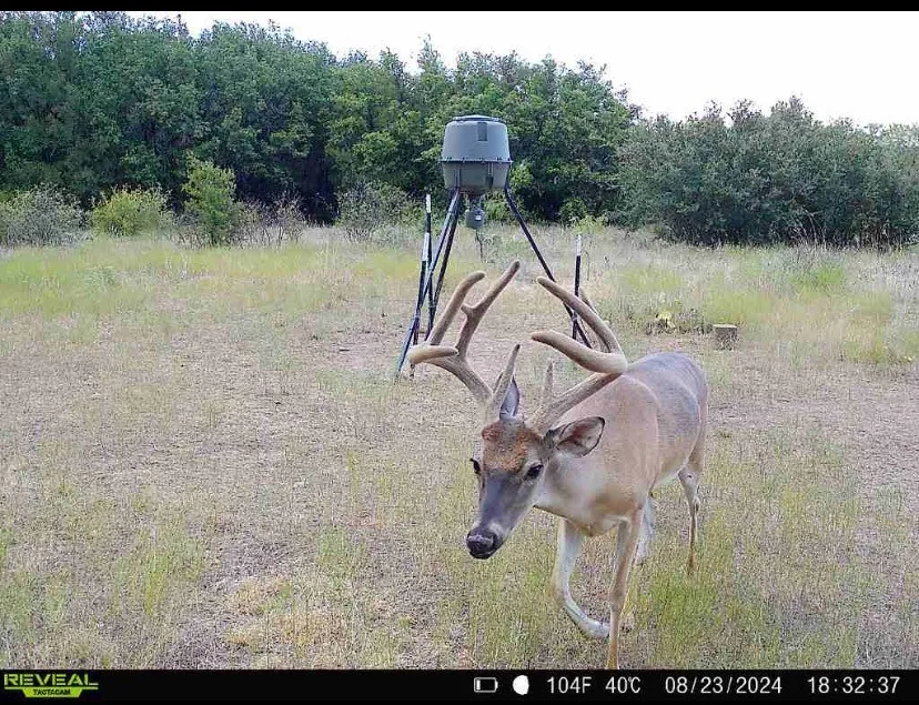 Unimproved Land For Sale in Stephens County , TBD County Road 136 #59, Ranger, Texas 76424, 0, 0, Garage spaces, 0 Sqft, built in 0, mls#21315885, Real Estate Agent in Ranger, Homes For Sale in Stephens county, Homes For Sale in Ranger, Realtor in Ranger Texas, Real Estate Brokerage Independent Realty Texas, Luminita Cordes Realtor