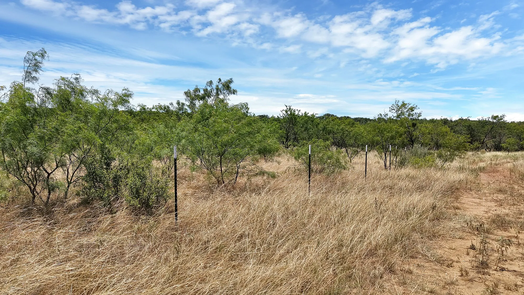 Unimproved Land For Sale in Stephens County , TBD County Road 136 #59, Ranger, Texas 76424, 0, 0, Garage spaces, 0 Sqft, built in 0, mls#21315885, Real Estate Agent in Ranger, Homes For Sale in Stephens county, Homes For Sale in Ranger, Realtor in Ranger Texas, Real Estate Brokerage Independent Realty Texas, Luminita Cordes Realtor