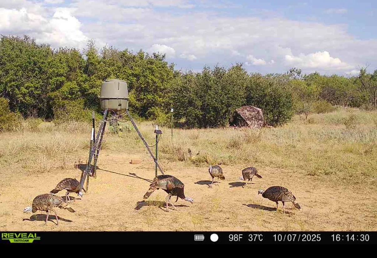 Unimproved Land For Sale in Stephens County , TBD County Road 136 #59, Ranger, Texas 76424, 0, 0, Garage spaces, 0 Sqft, built in 0, mls#21315885, Real Estate Agent in Ranger, Homes For Sale in Stephens county, Homes For Sale in Ranger, Realtor in Ranger Texas, Real Estate Brokerage Independent Realty Texas, Luminita Cordes Realtor